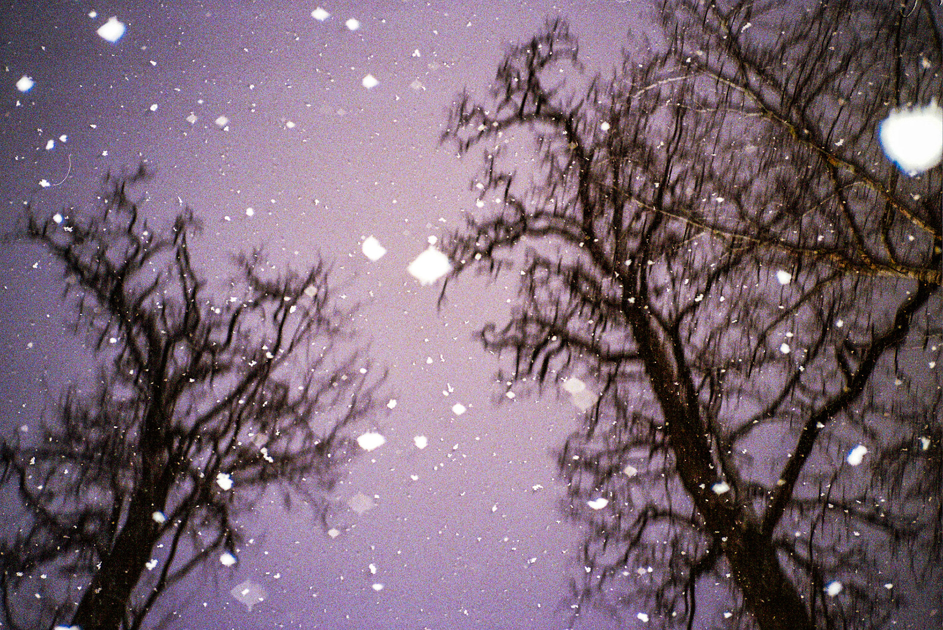 Autosave-File vom d-lab2/3 der AgfaPhoto GmbH