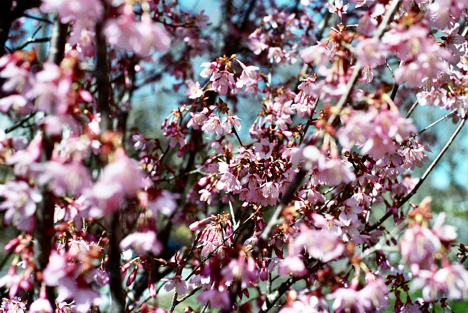 Autosave-File vom d-lab2/3 der AgfaPhoto GmbH