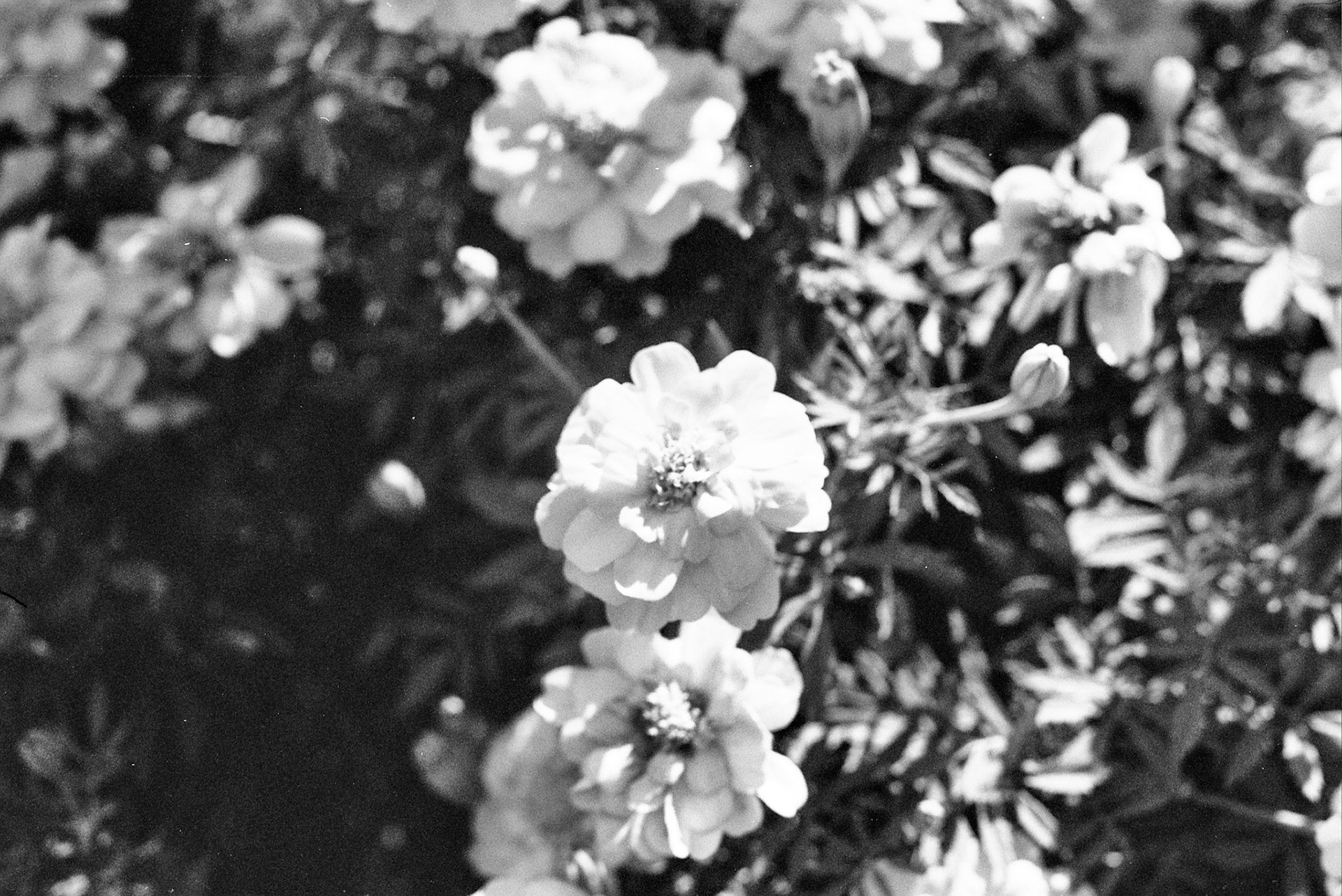 Autosave-File vom d-lab2/3 der AgfaPhoto GmbH