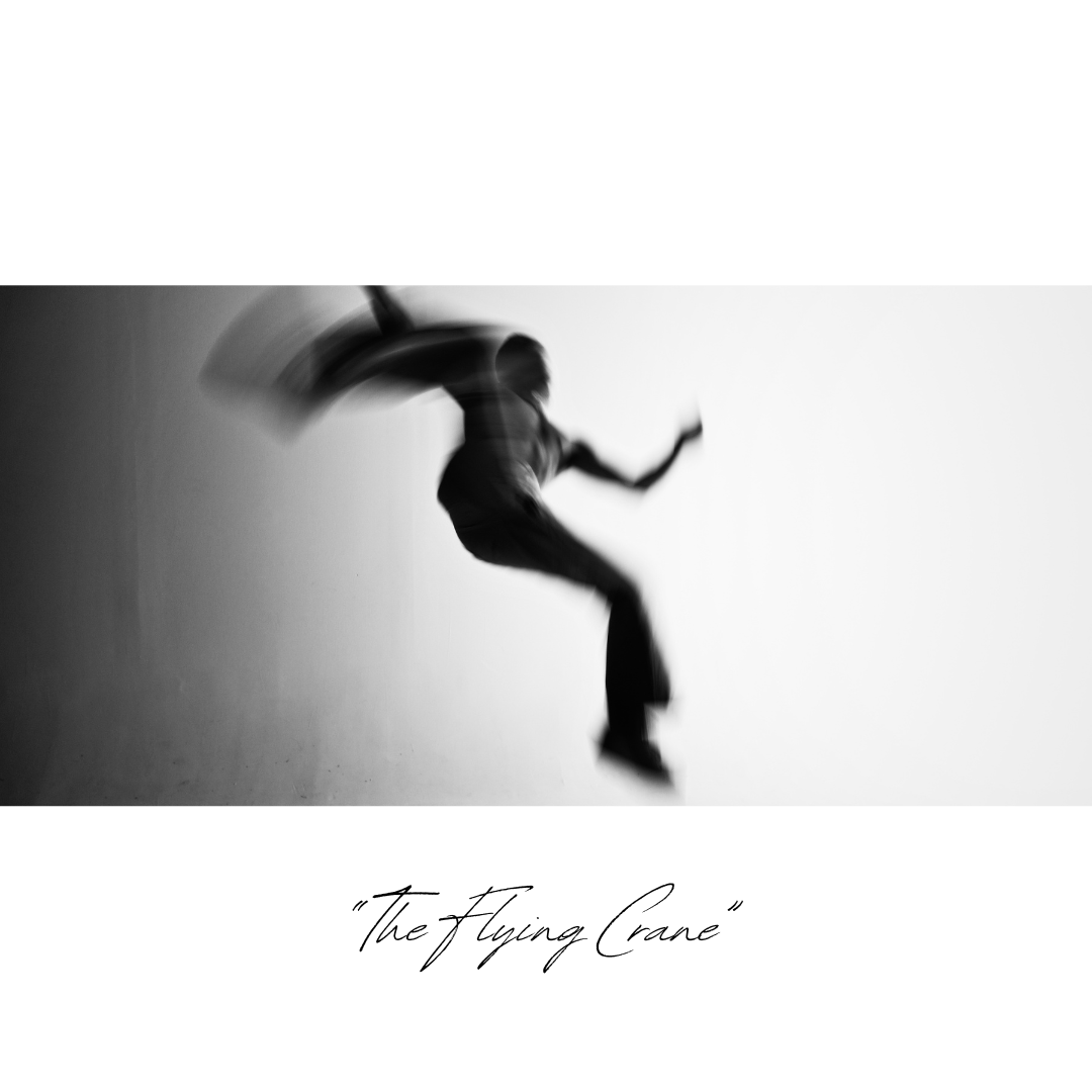 Image of masked model doing an aerial kick with motion blur, black and white with caption "The Flying Crane"