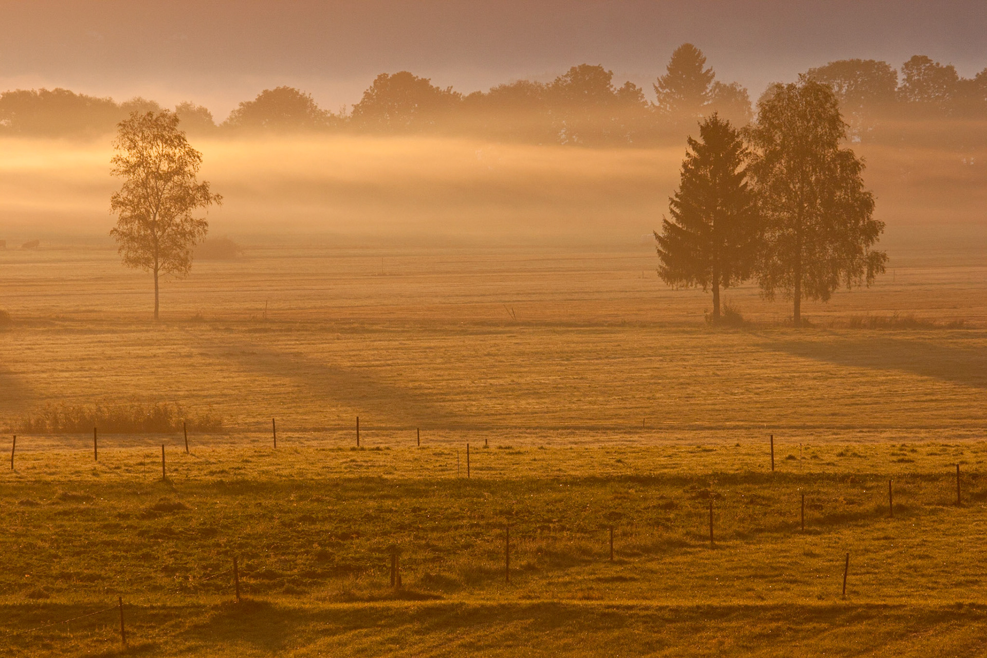 Herbst in den Alpen, Morgennebel, Berge, Sonnenaufgang