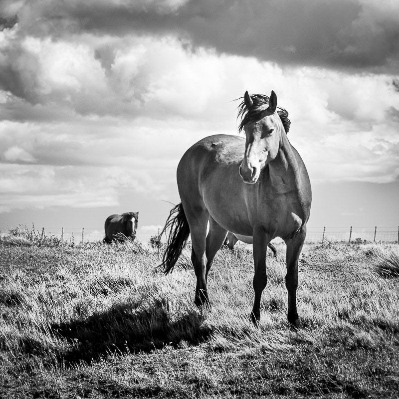 Patagonia Bravía, Ruta 1, Santa Cruz
