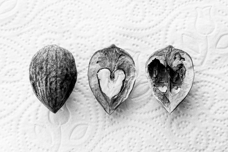 Nueces