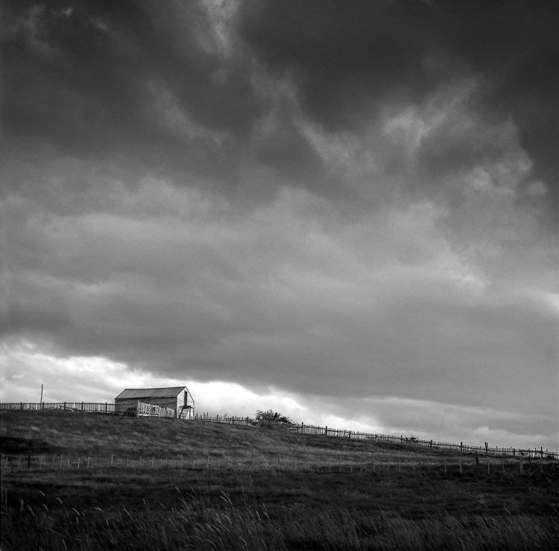 Coraje  (Gelatina de plata tonificada al selenio)