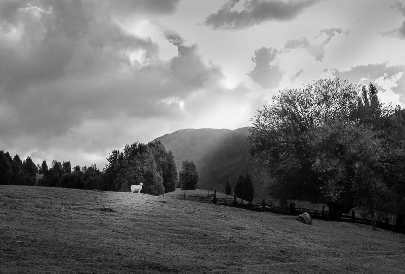 Paso Internacional Río Manso, Bariloche