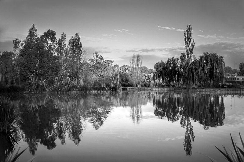 Reflejos, Buenos Aires