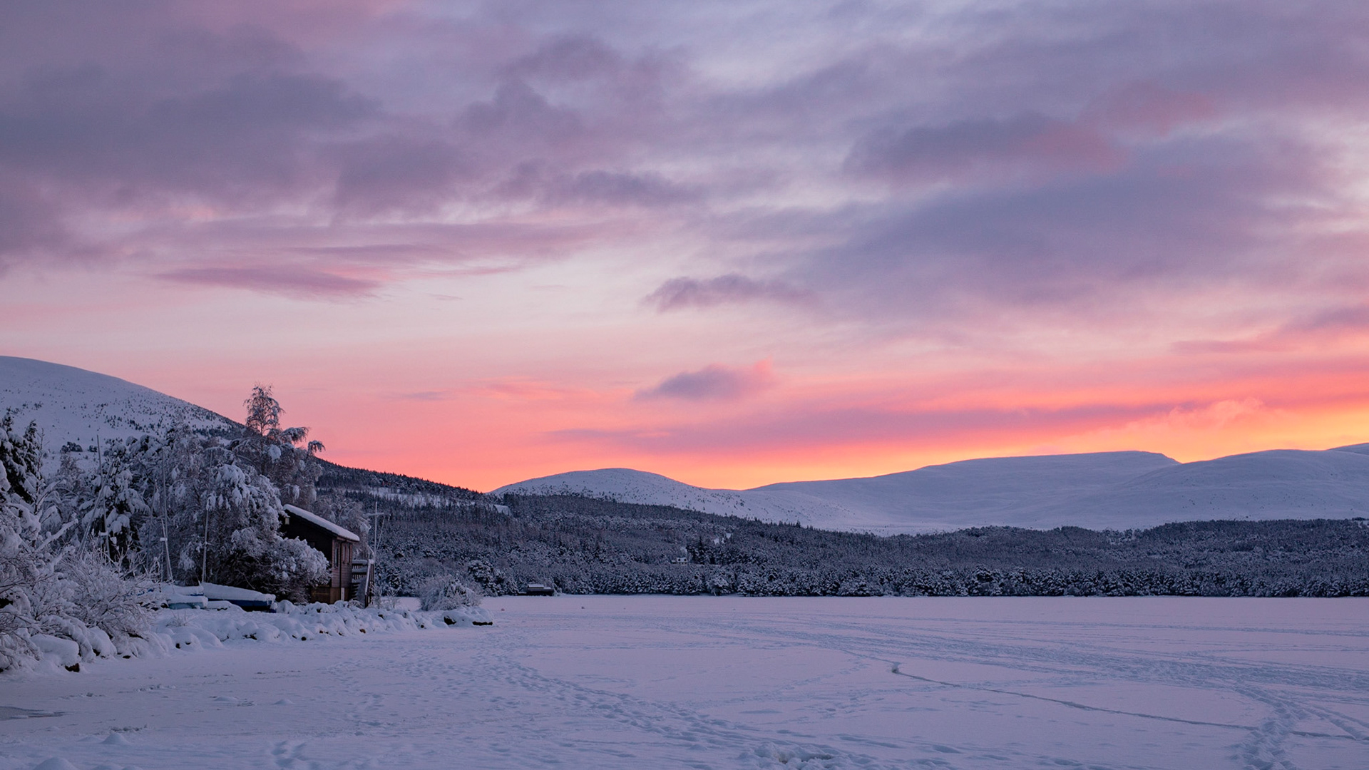 Loch Morlich Dawn