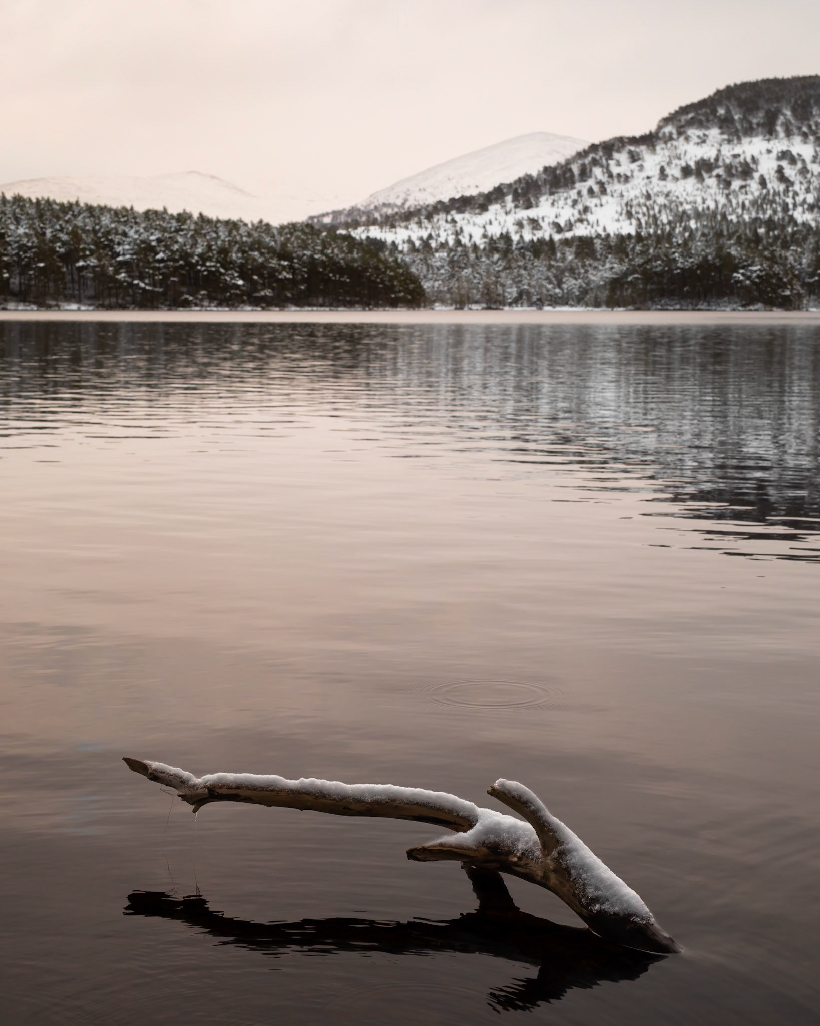 Loch an Eilein