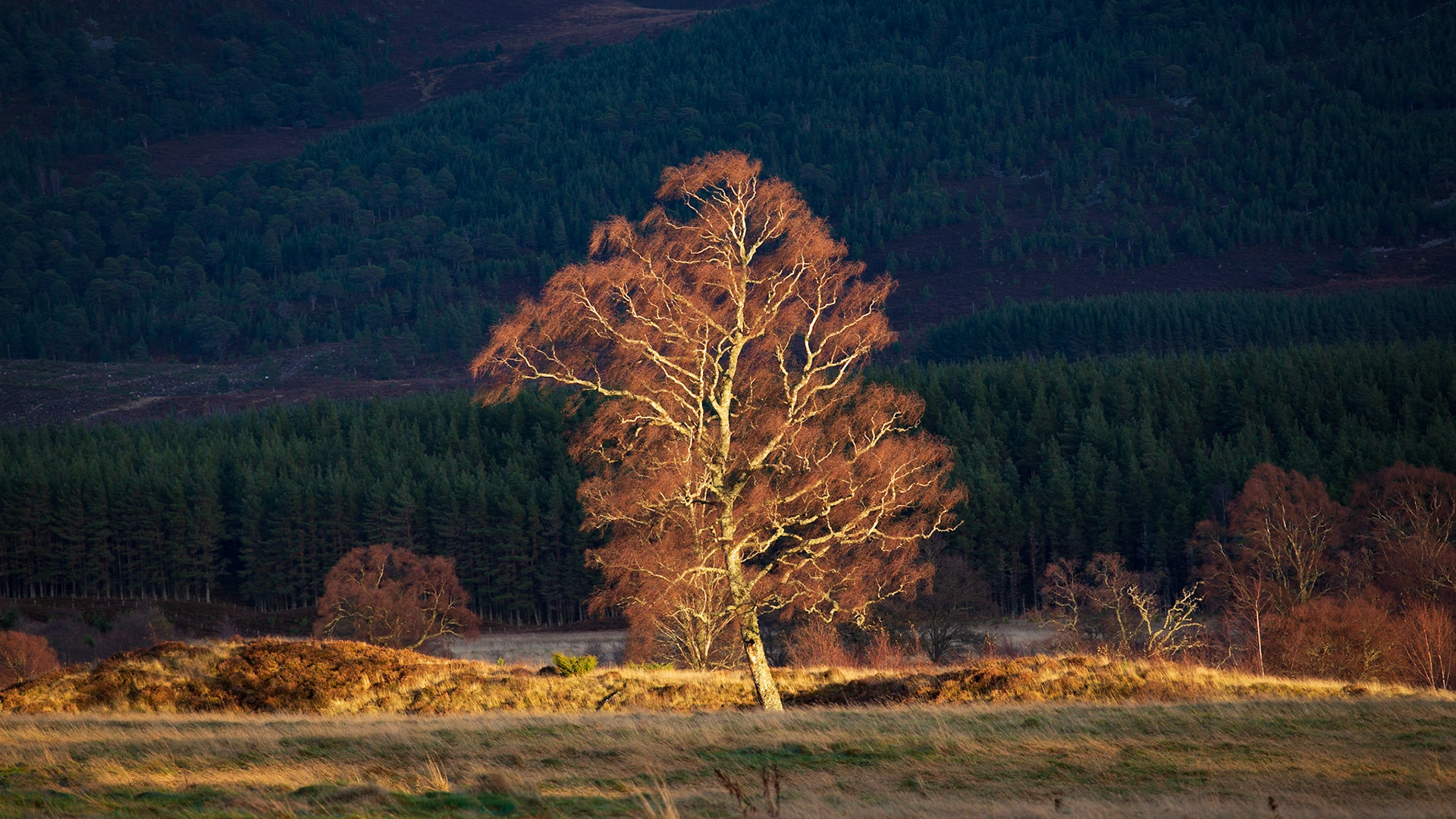 Coire Fhearnasdail