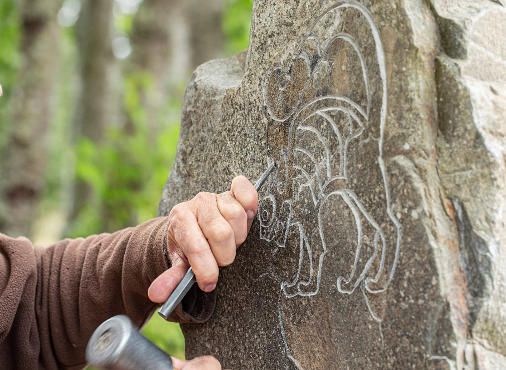 Carving a wildcat