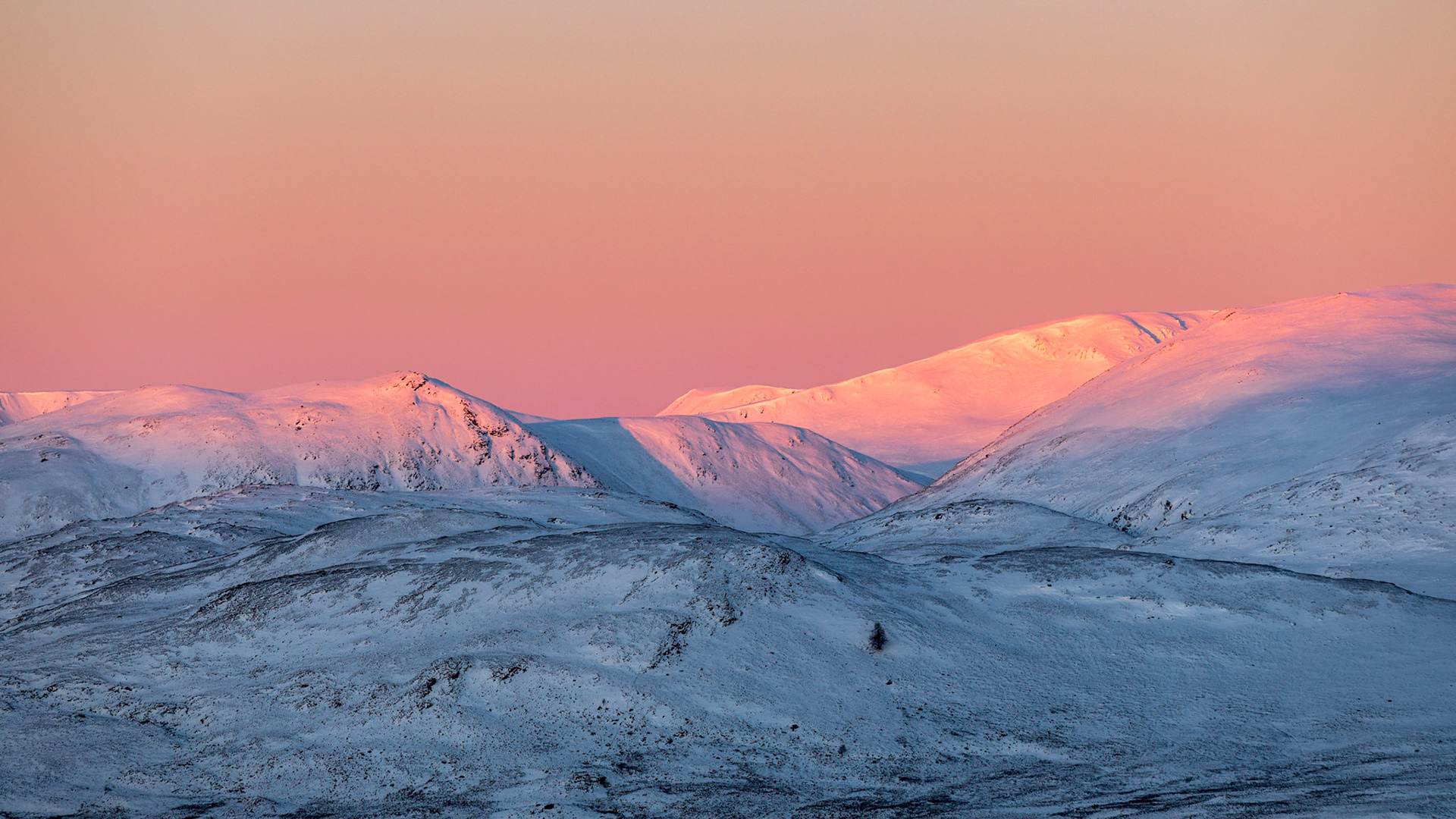 First Light