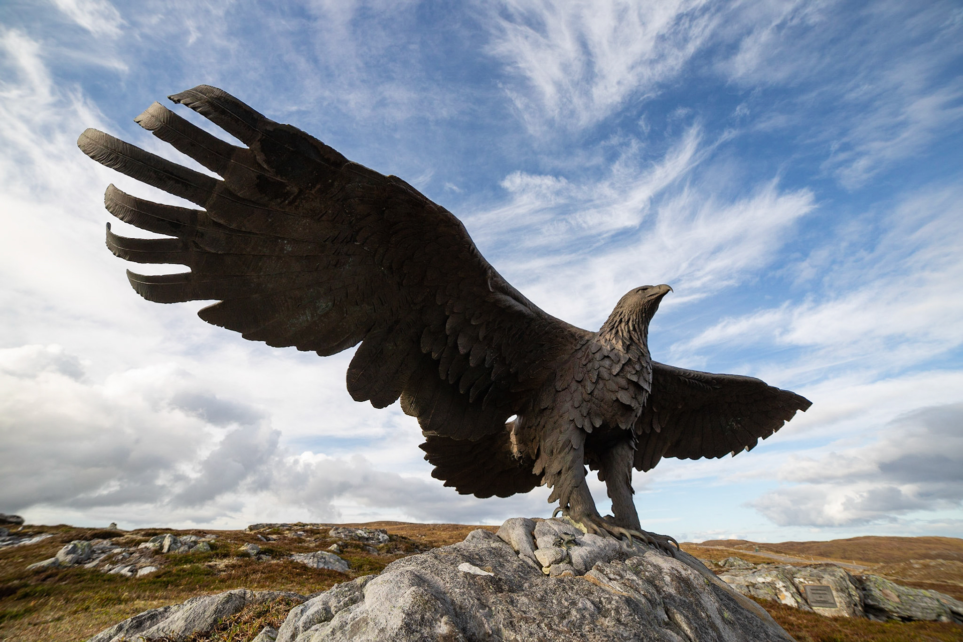 Glendoe Eagle by Tom Mackie