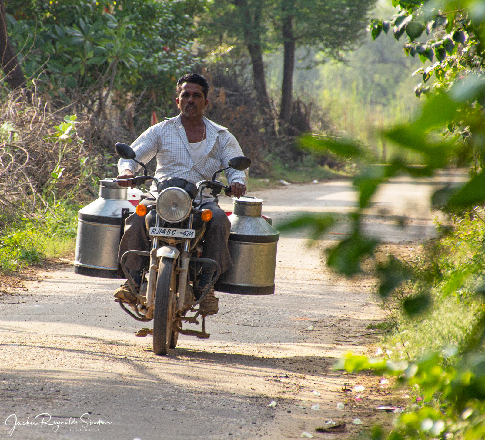 Milk delivery near Samode Village
