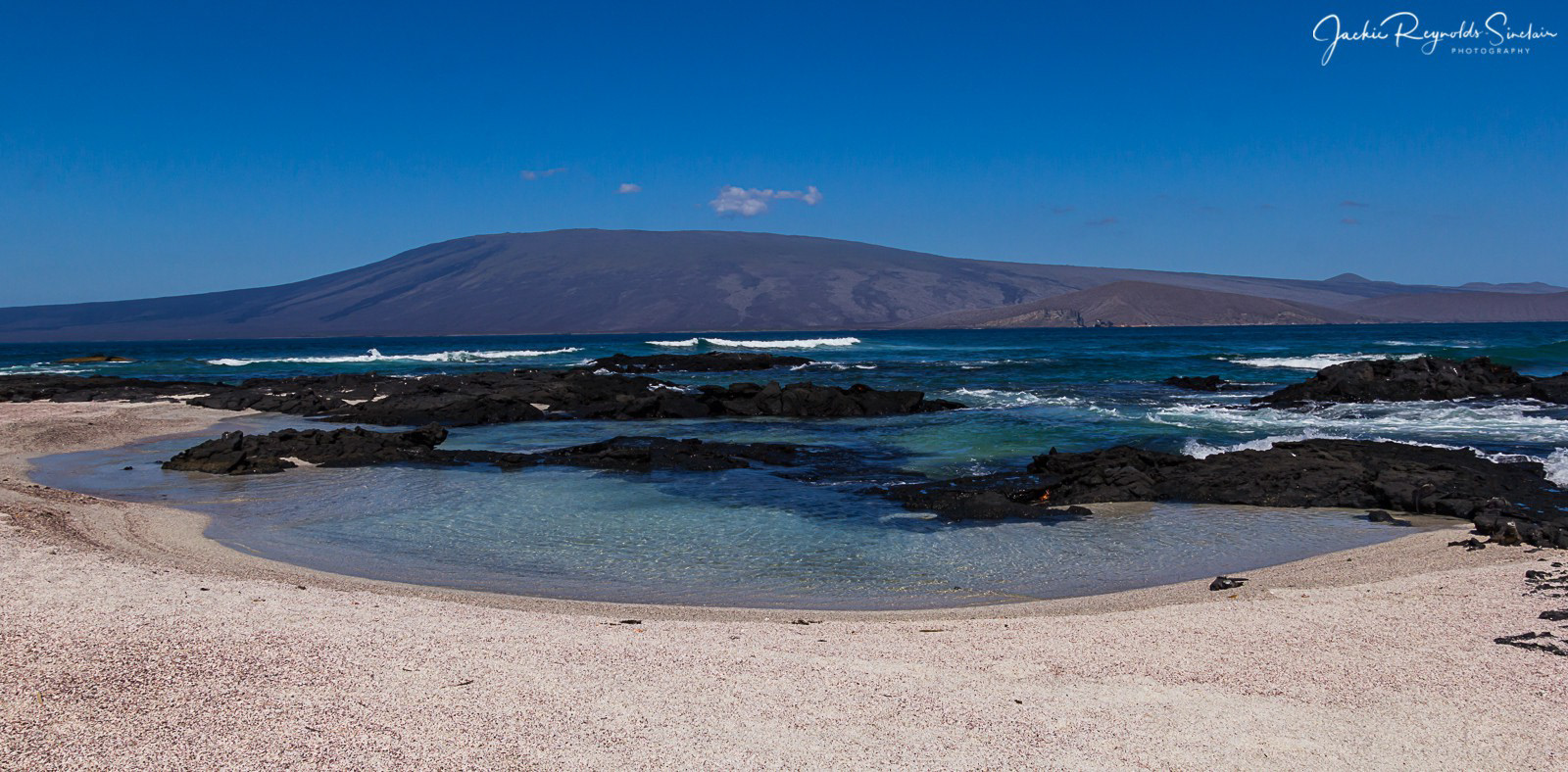 Punta Espinoza, Fernandina Island