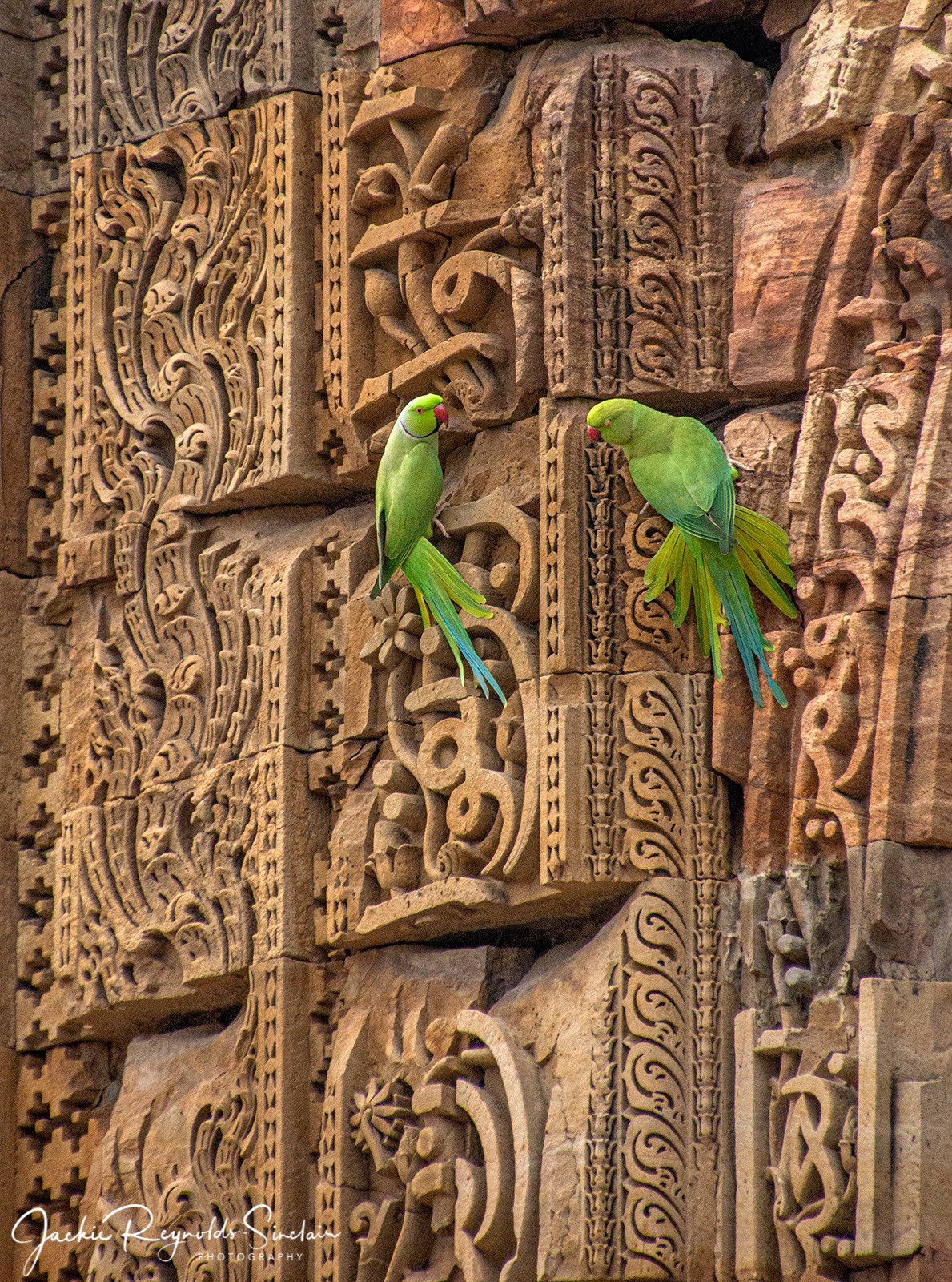Quwwat ul-Islam Mosque, Qtub Complex, Delhi 