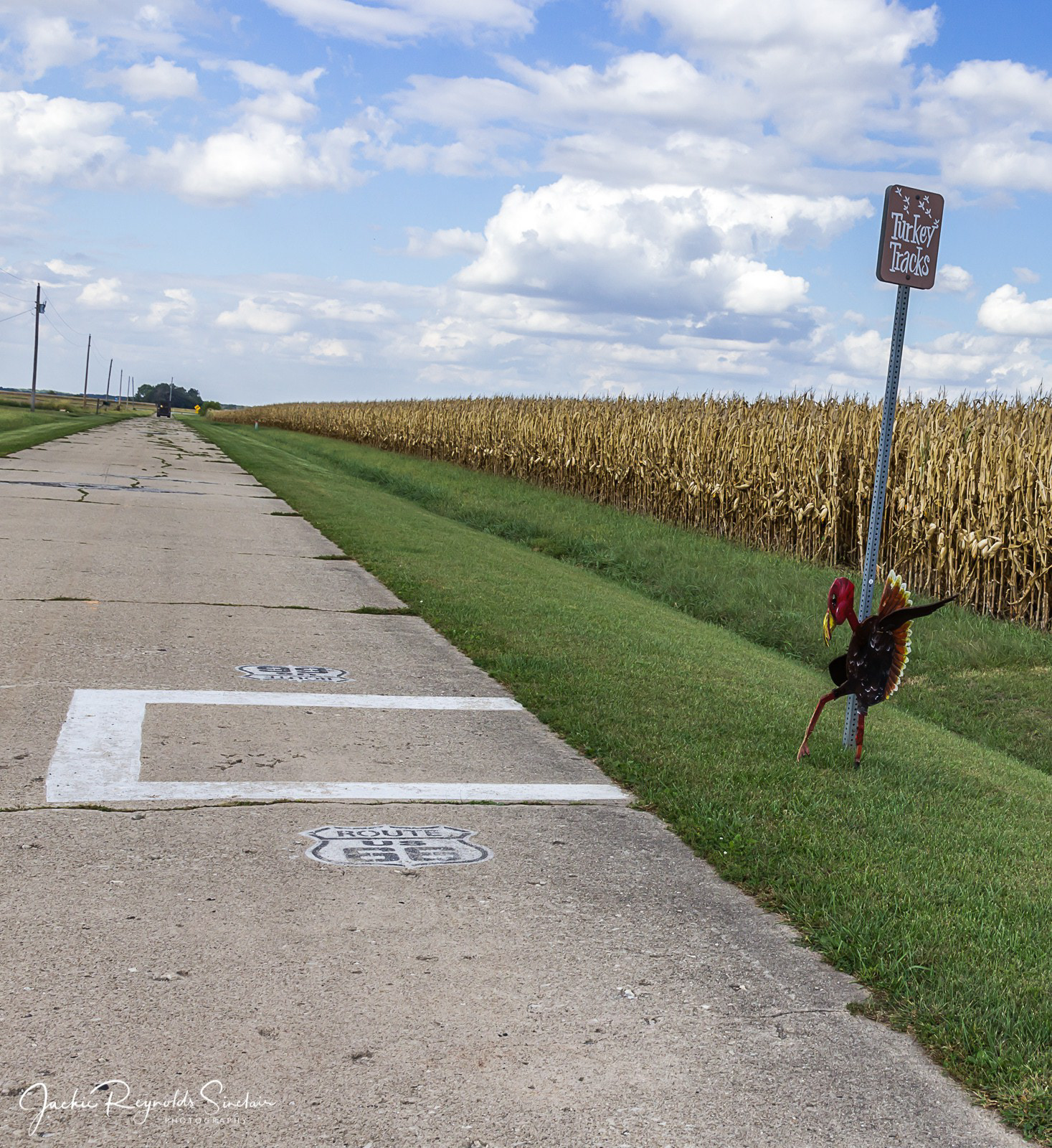 'Turkey Tracks', Nilwood, Illinois