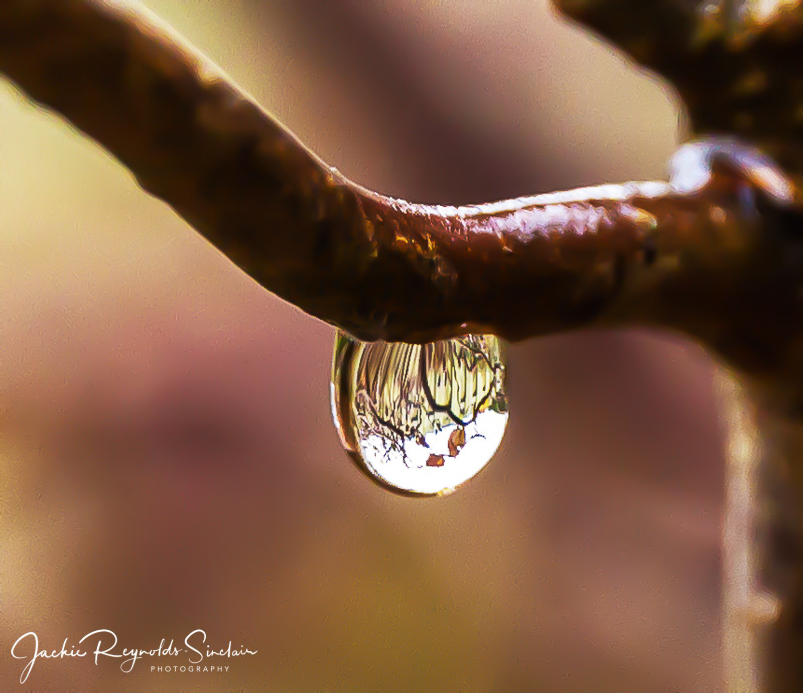 Raindrop