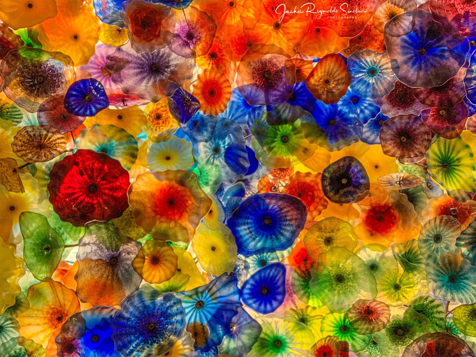 “Fiori di Como,” by Chihuly: the glass sculpture that hangs from the ceiling in Bellagio Hotel lobby, Las Vegas.