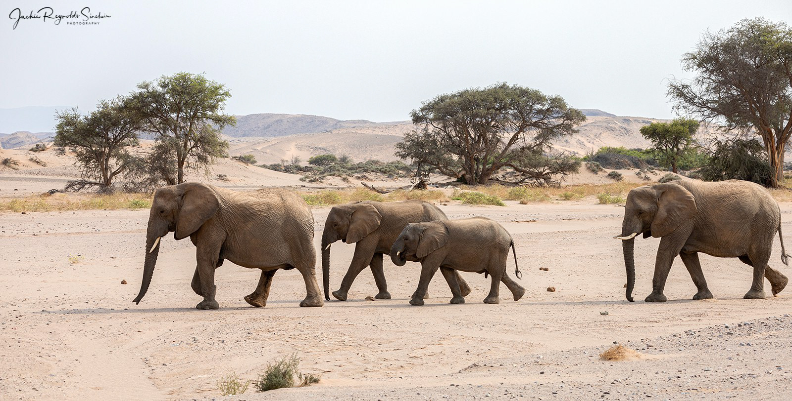 Aba-Huab Valley, Namibia