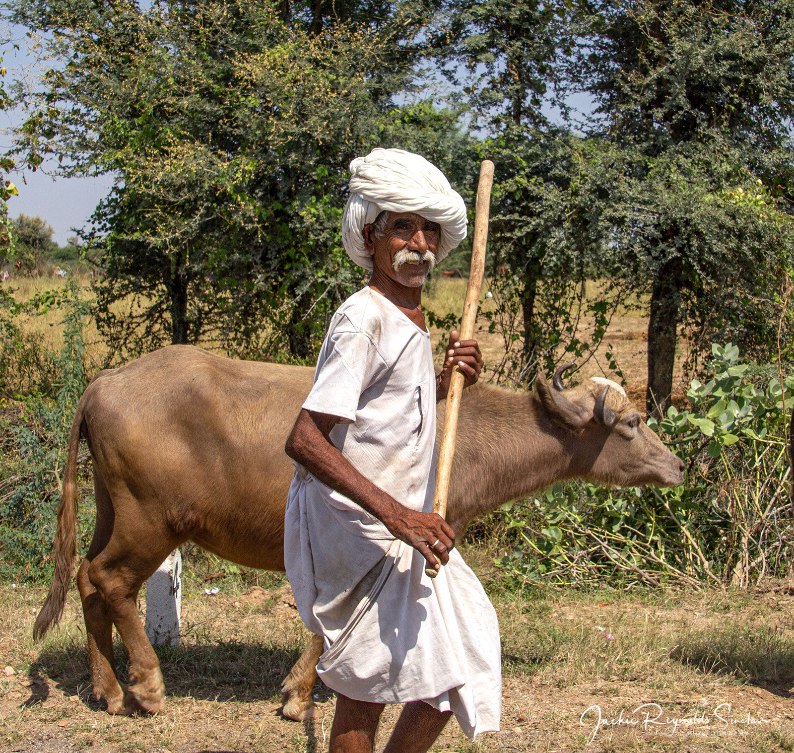 Rural Rajasthan 