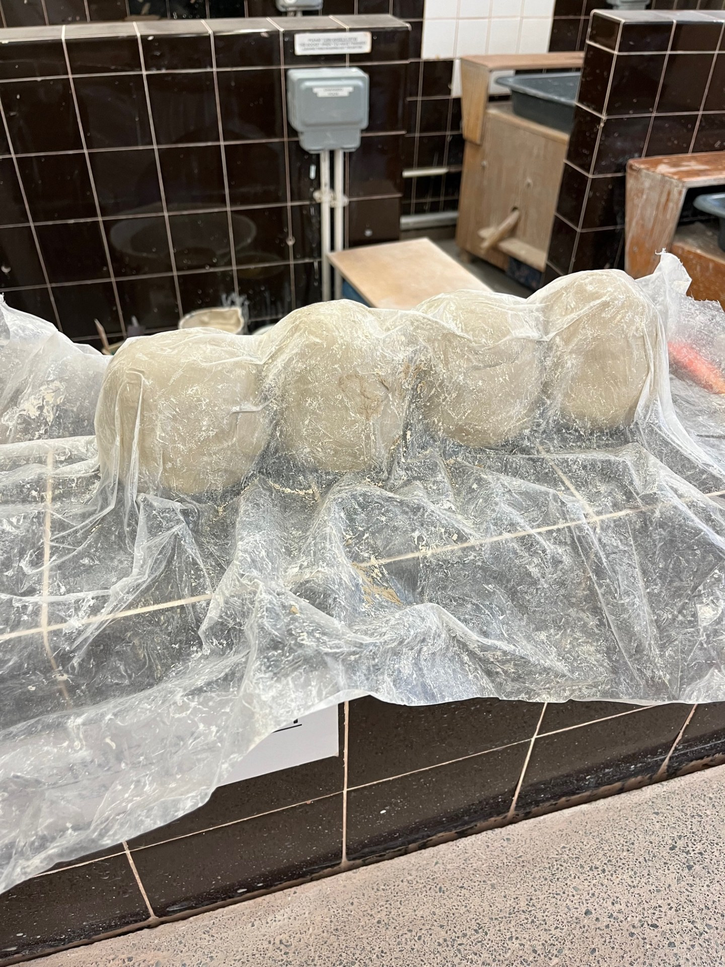 4. Roll balls and cover with Plastic
