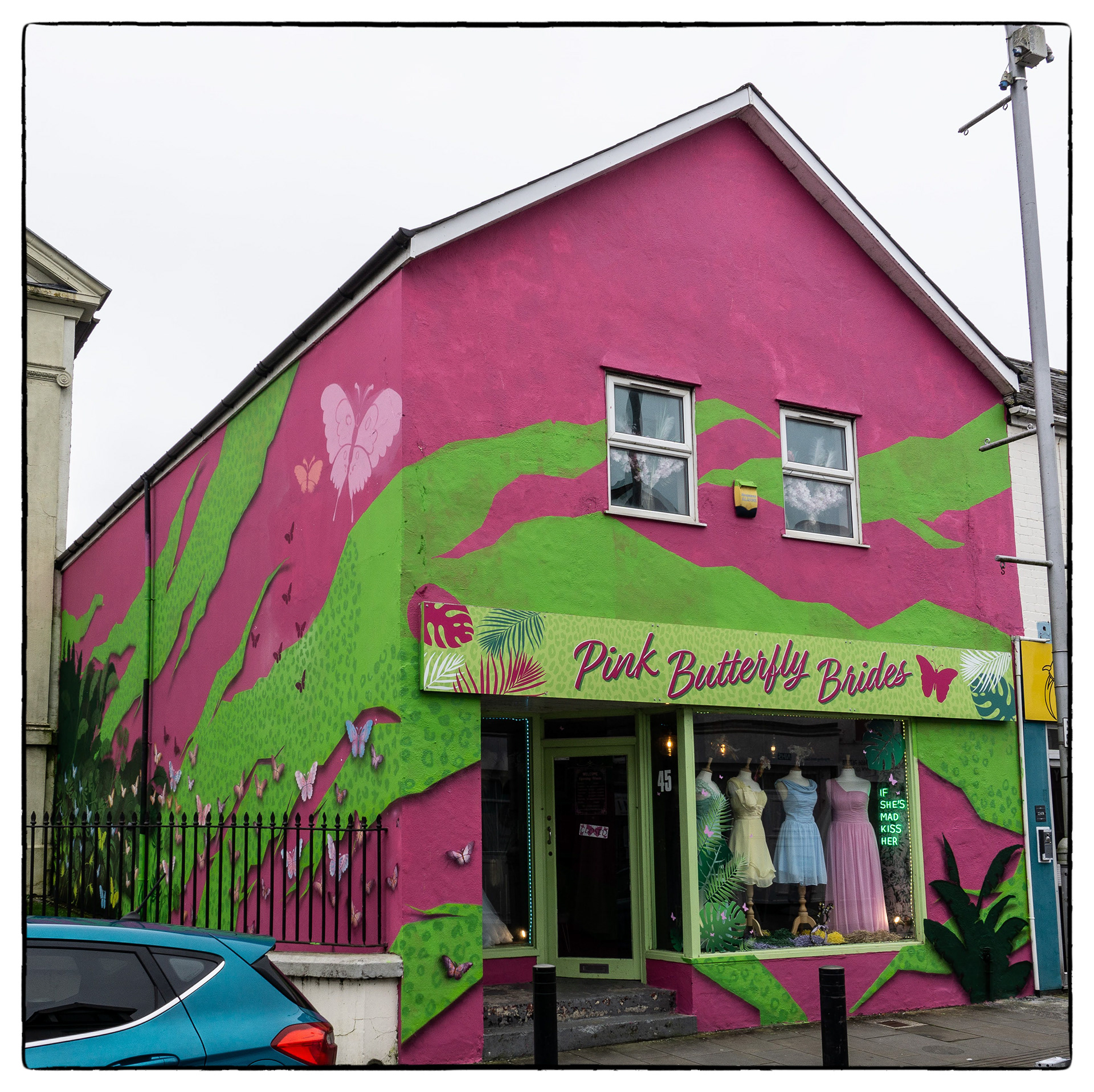 Pink Butterfly Bride  - Spike Clark