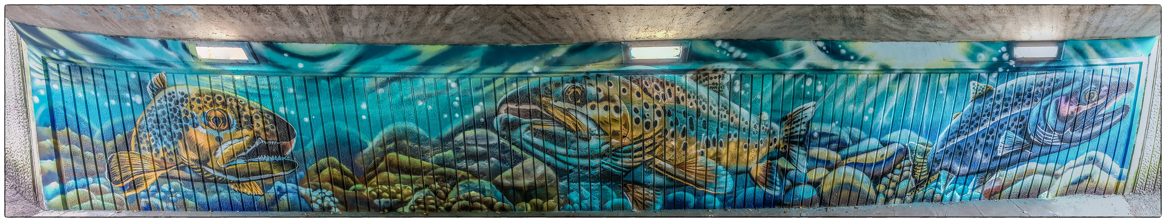 Aberkenfig underpass - THEW