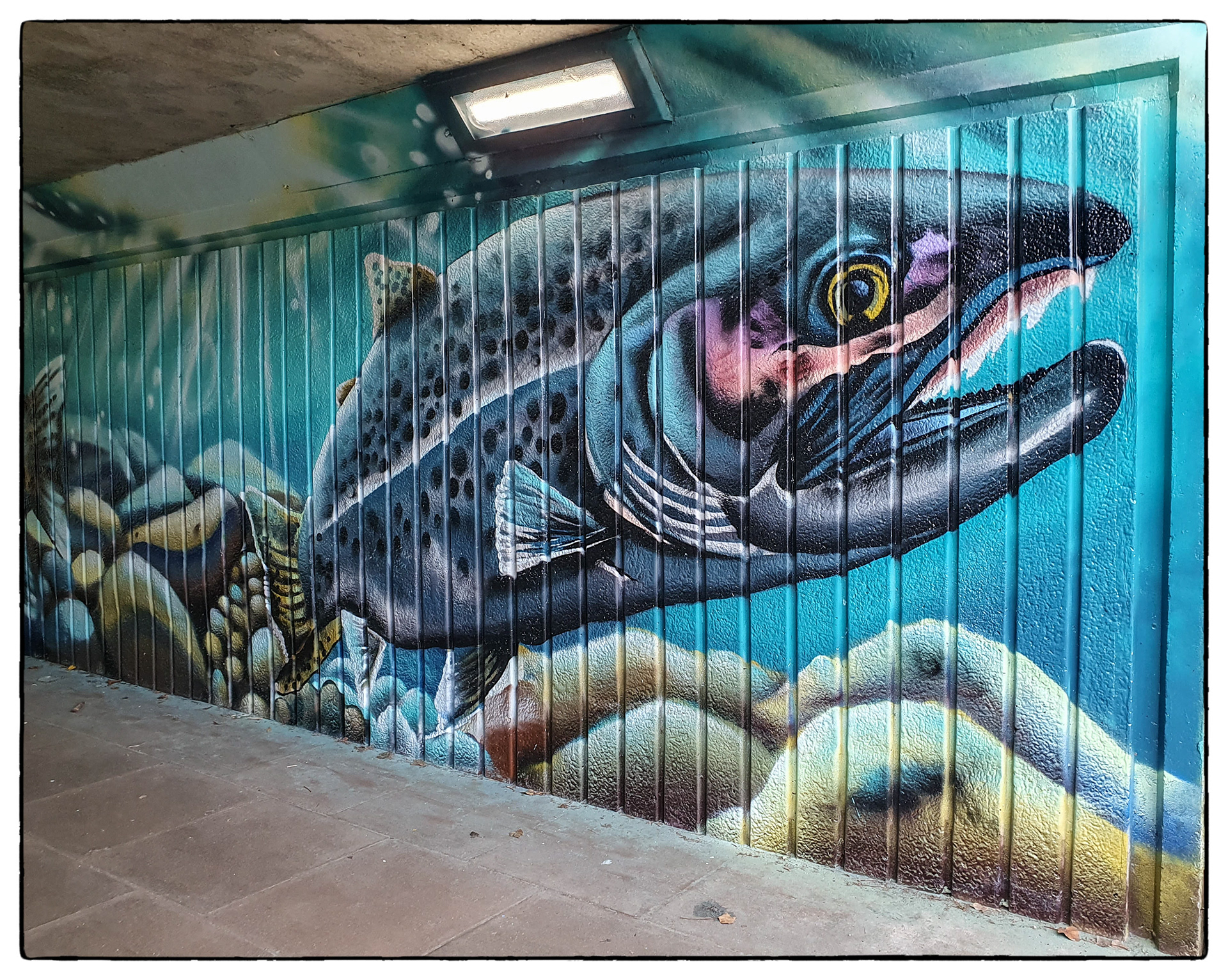 AberKenfig underpass - THEW