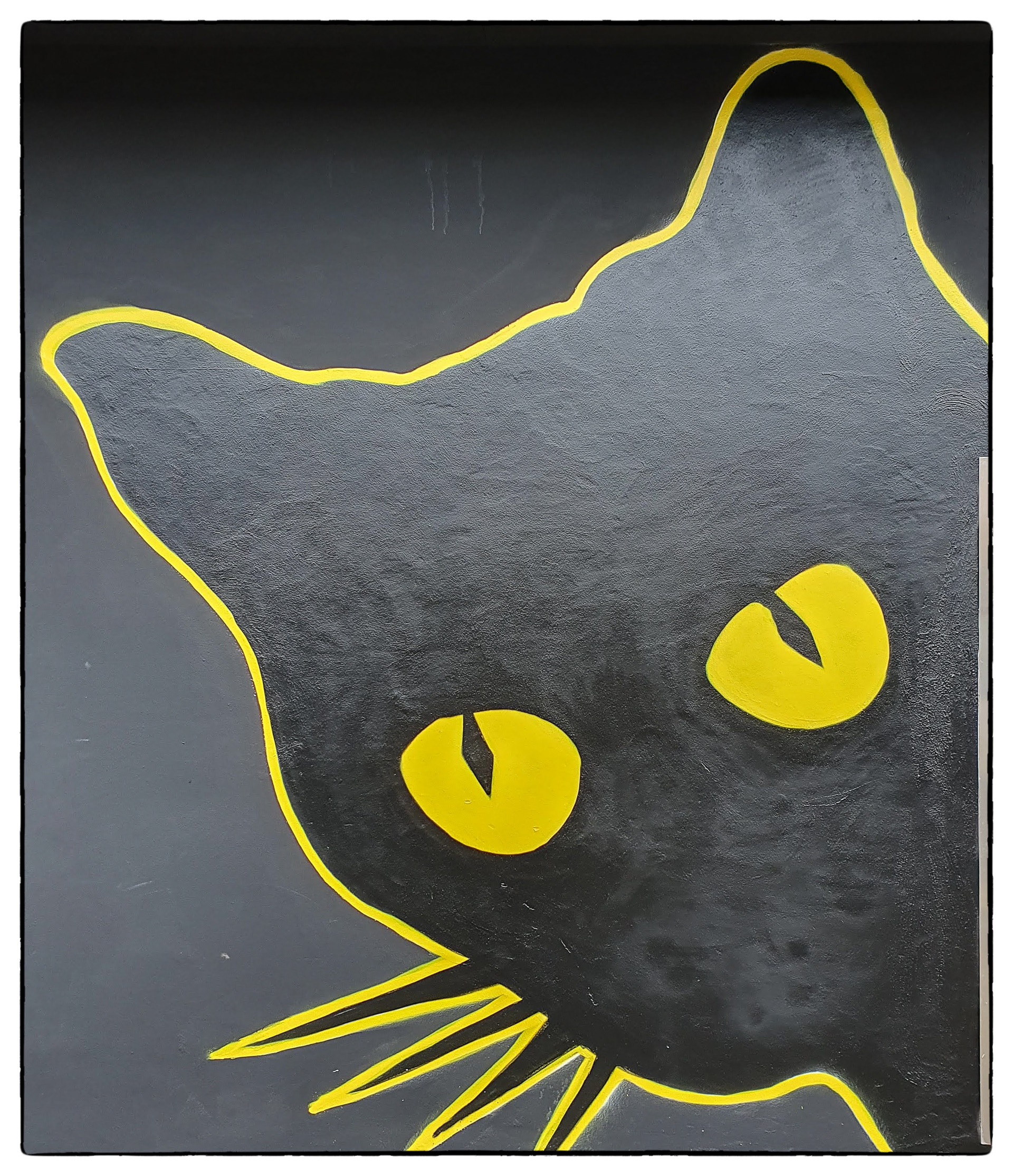 Black Cat Derwen Rd - THEW