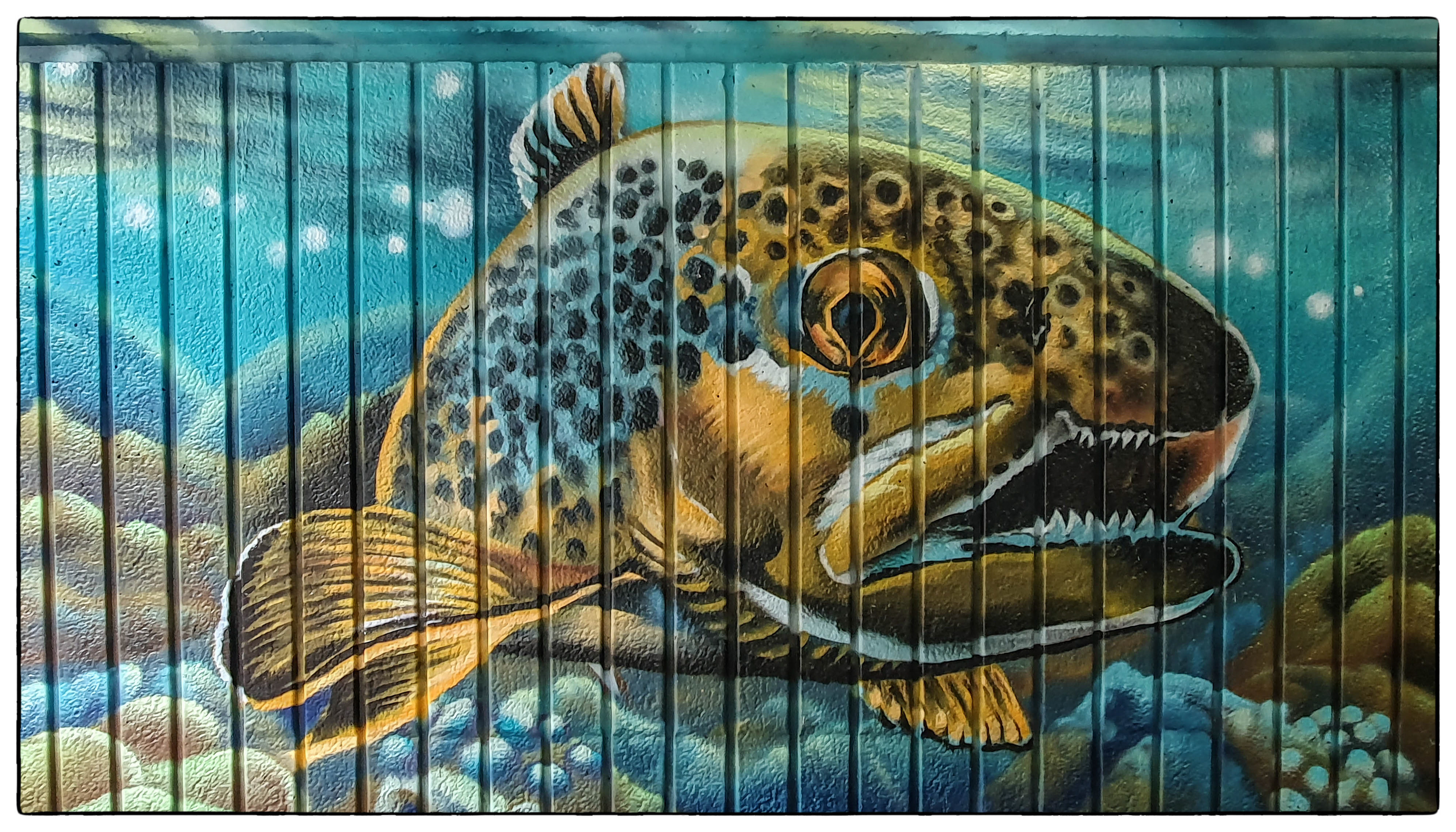 AberKenfig underpass - THEW