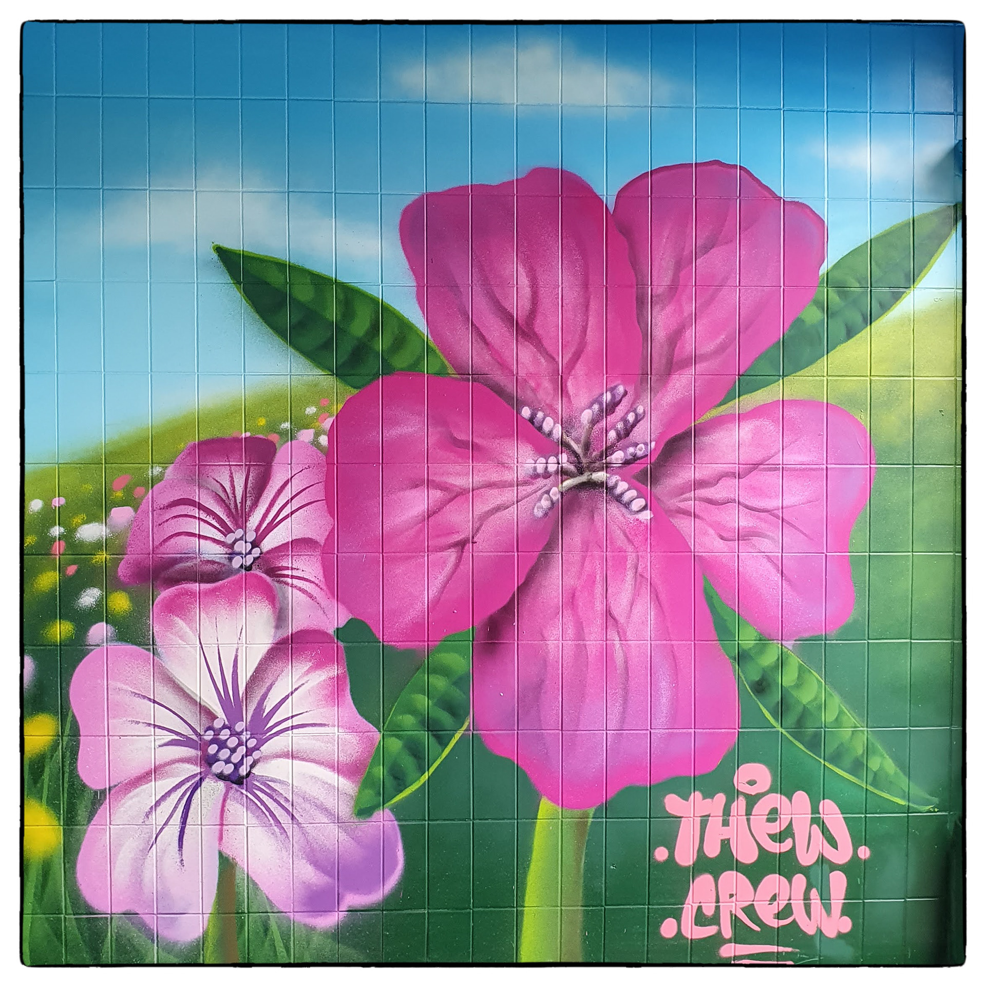 Pontycymer Oxford Street - THEW