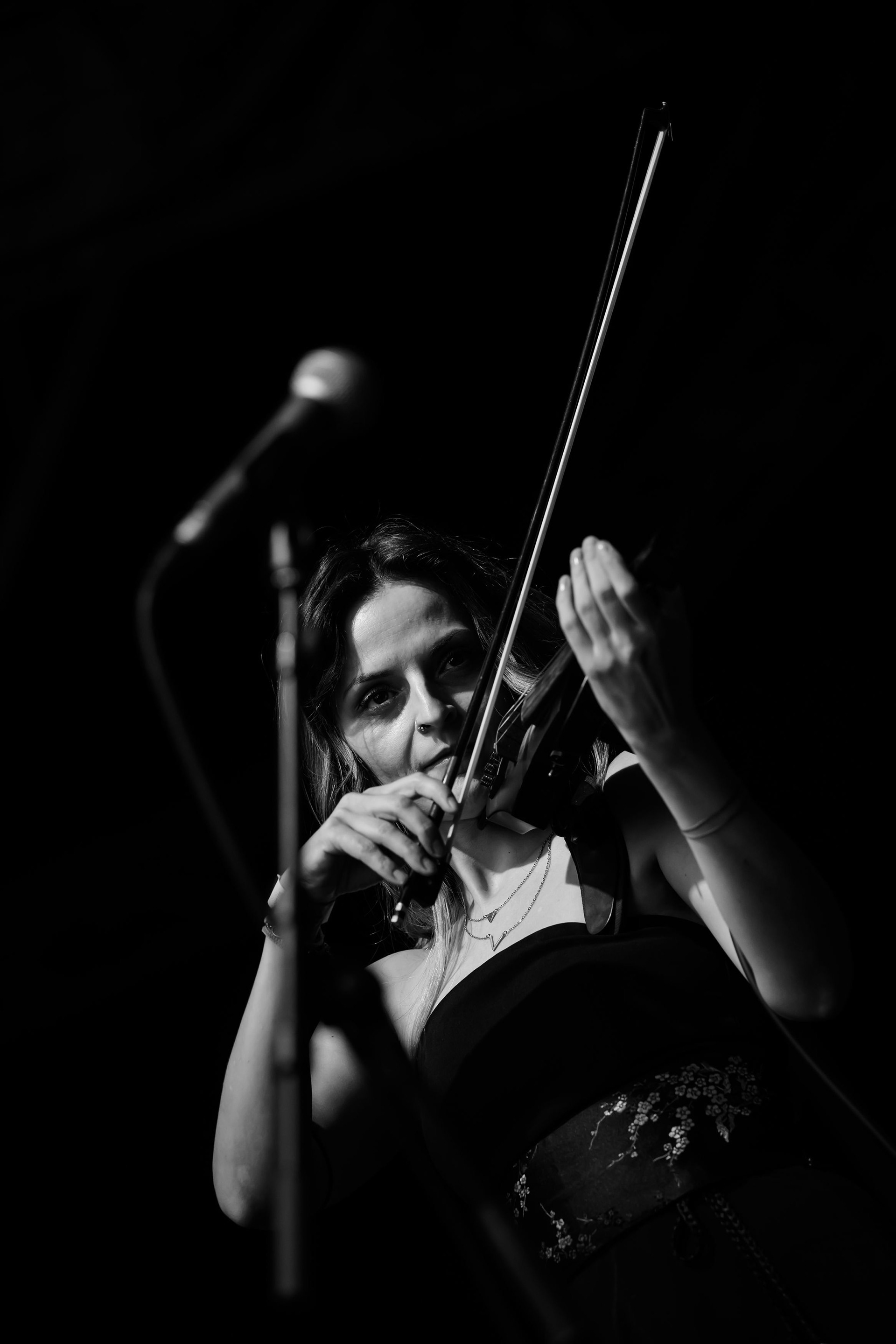 FOTÓ: ROMBAI PÉTER/REPESZTECH