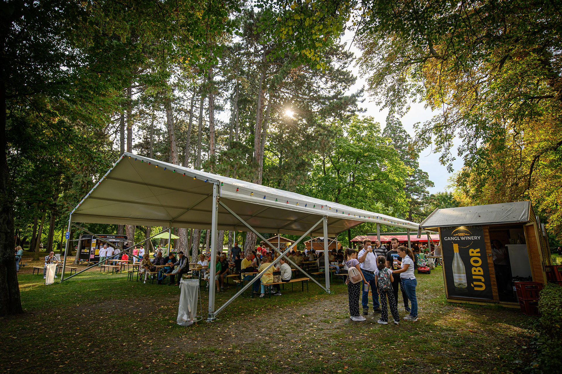 FOTÓ: ROMBAI PÉTER/REPESZTECH