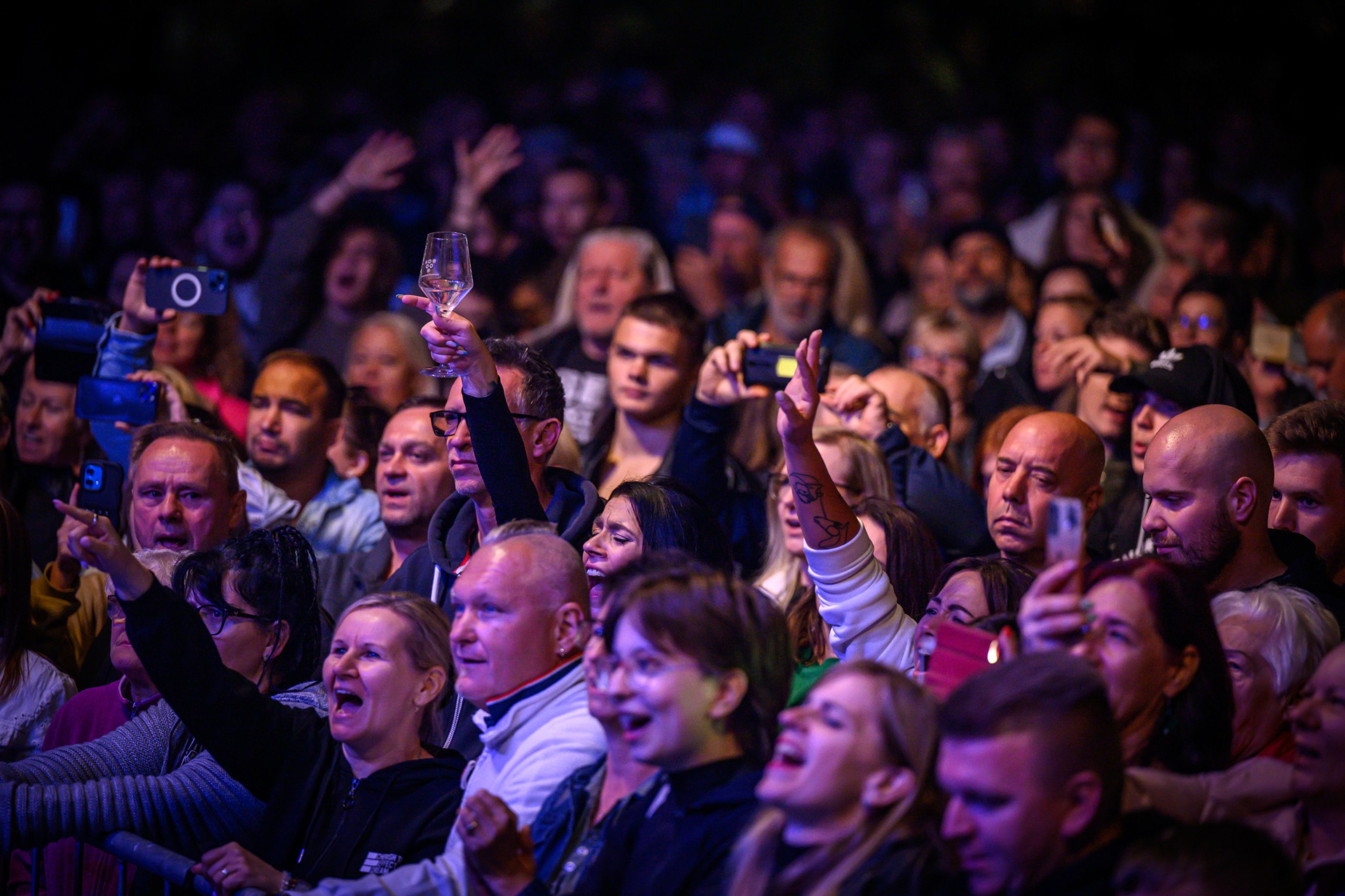 FOTÓ: ROMBAI PÉTER/REPESZTECH