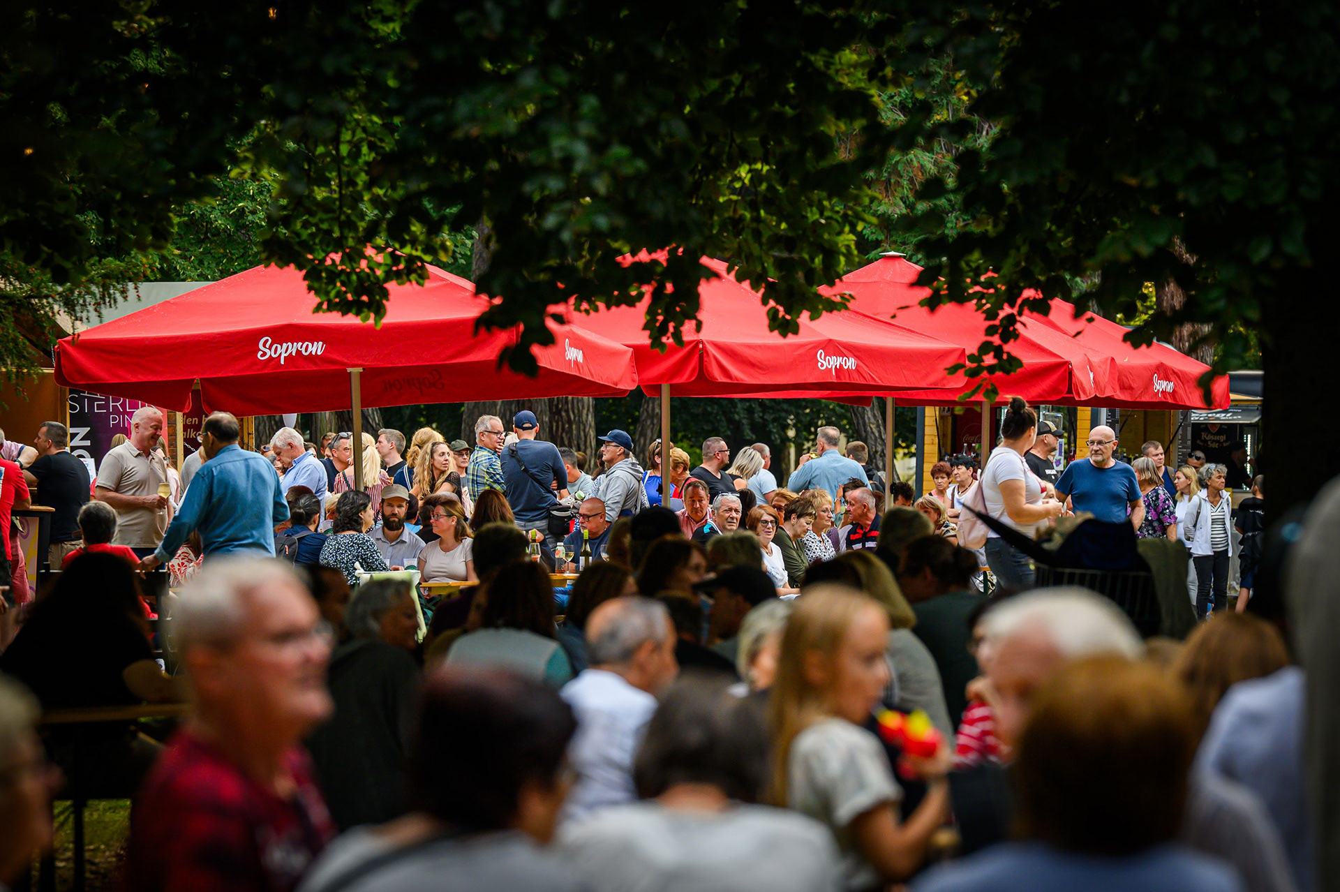 FOTÓ: ROMBAI PÉTER/REPESZTECH