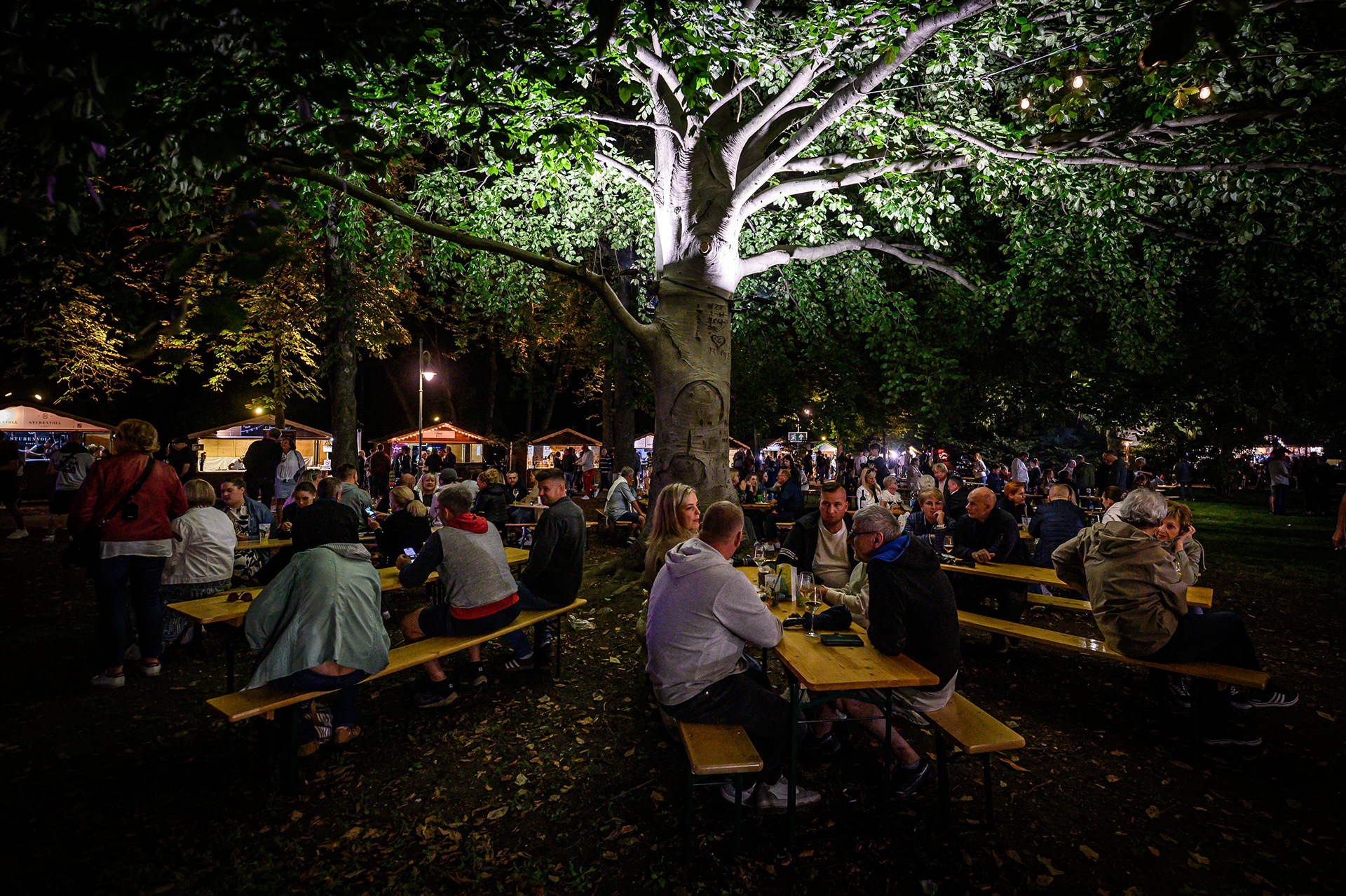 FOTÓ: ROMBAI PÉTER/REPESZTECH