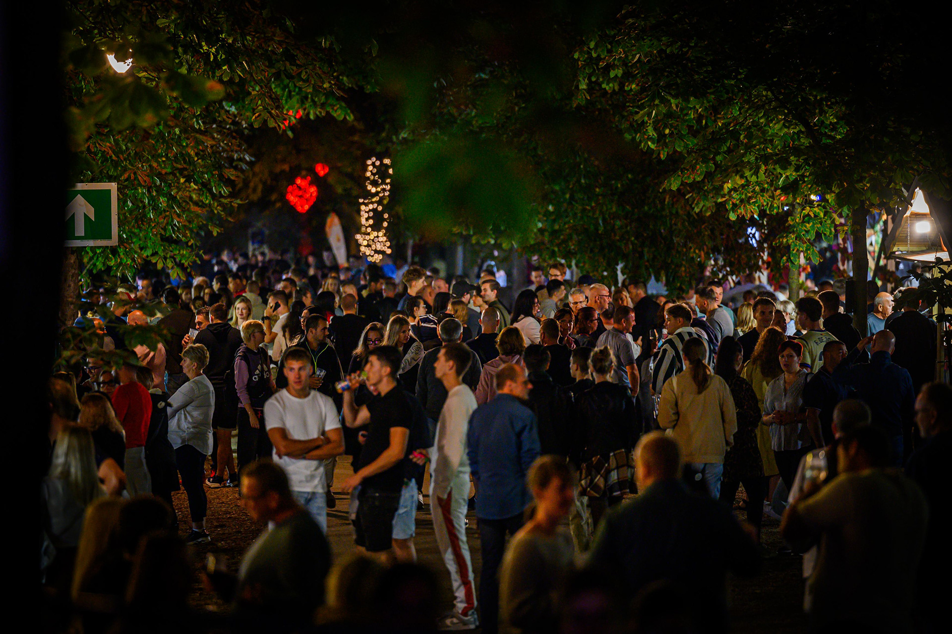 FOTÓ: ROMBAI PÉTER/REPESZTECH