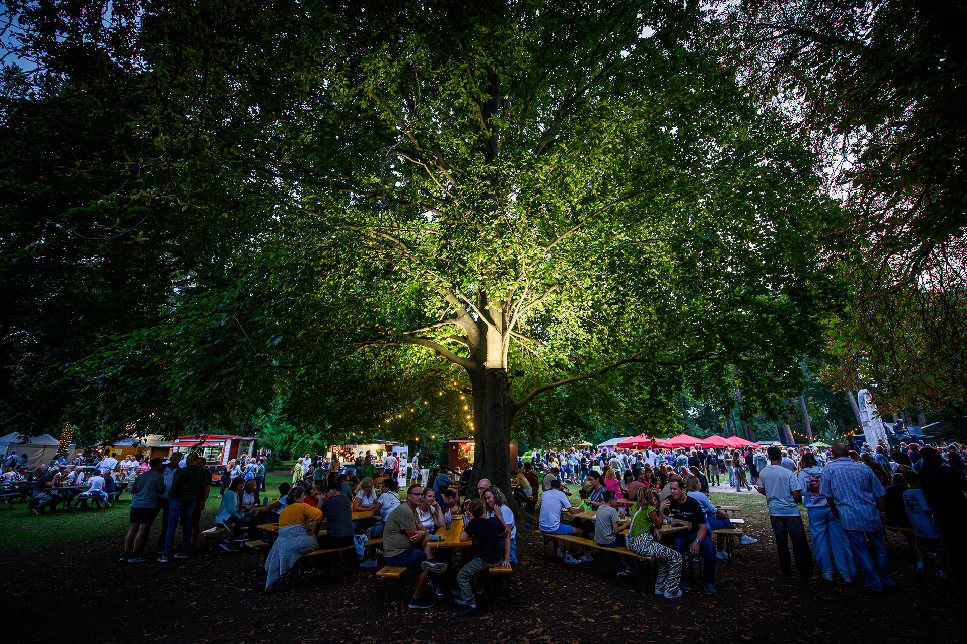 FOTÓ: ROMBAI PÉTER/REPESZTECH