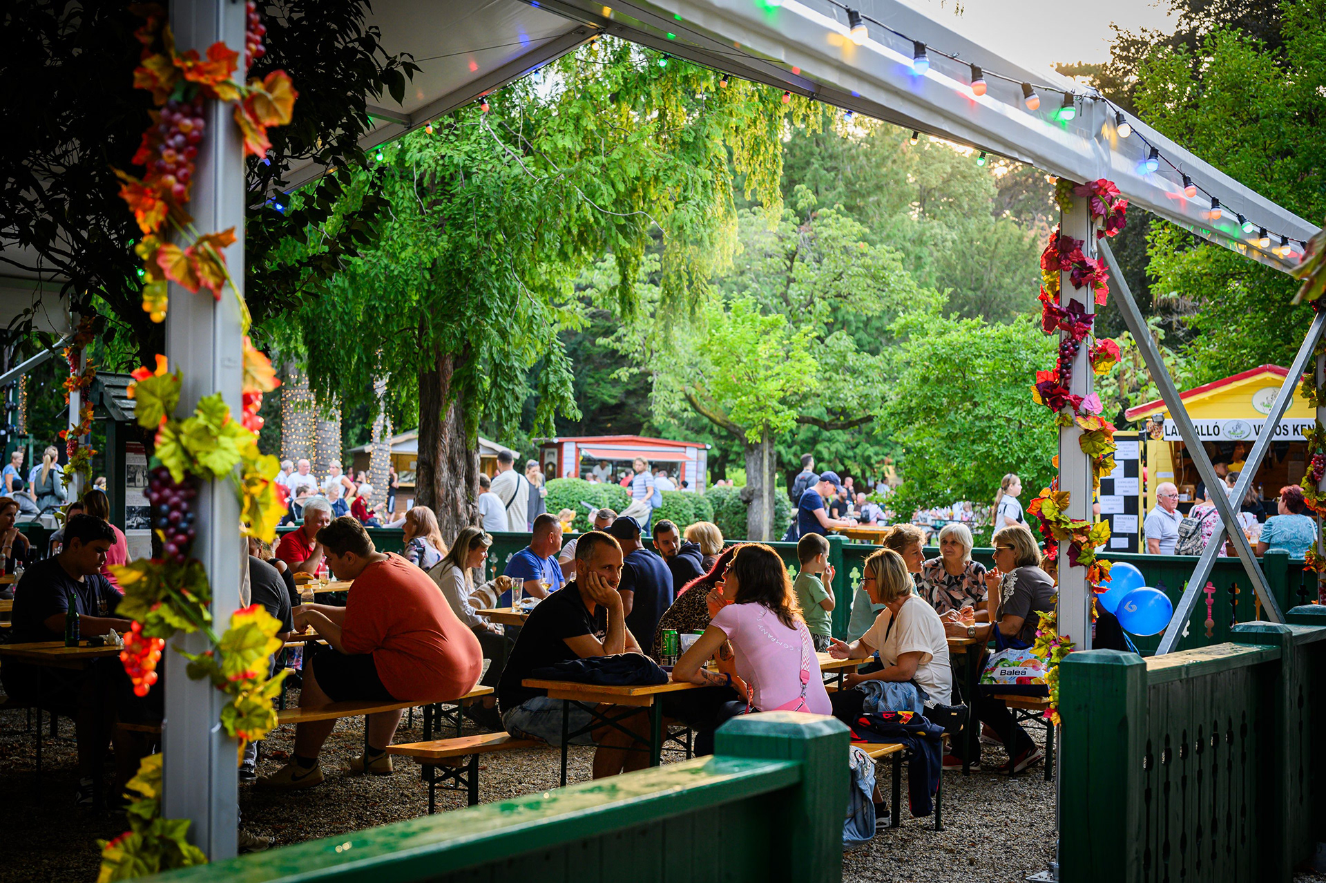 FOTÓ: ROMBAI PÉTER/REPESZTECH