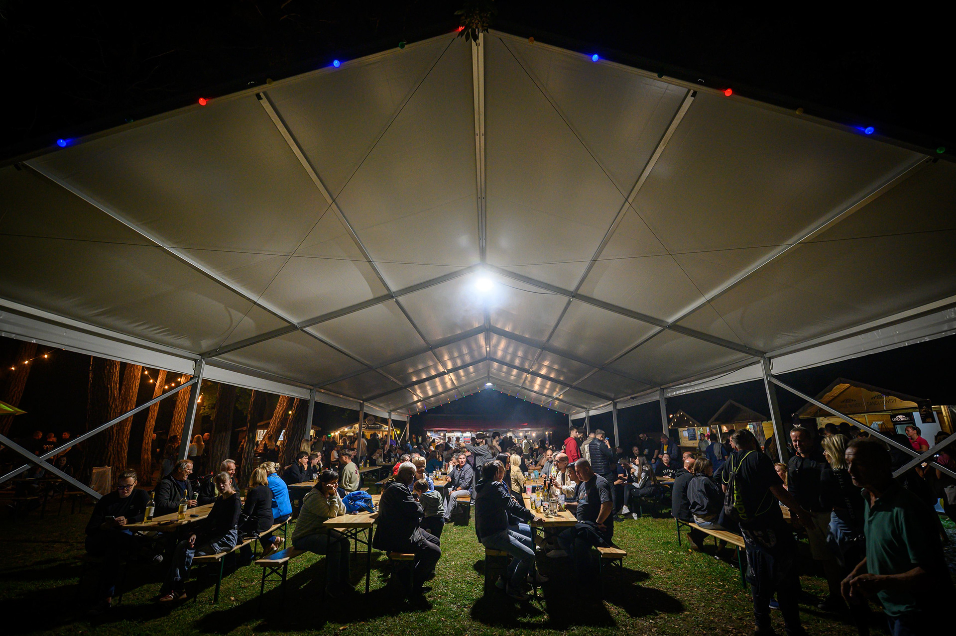 FOTÓ: ROMBAI PÉTER/REPESZTECH