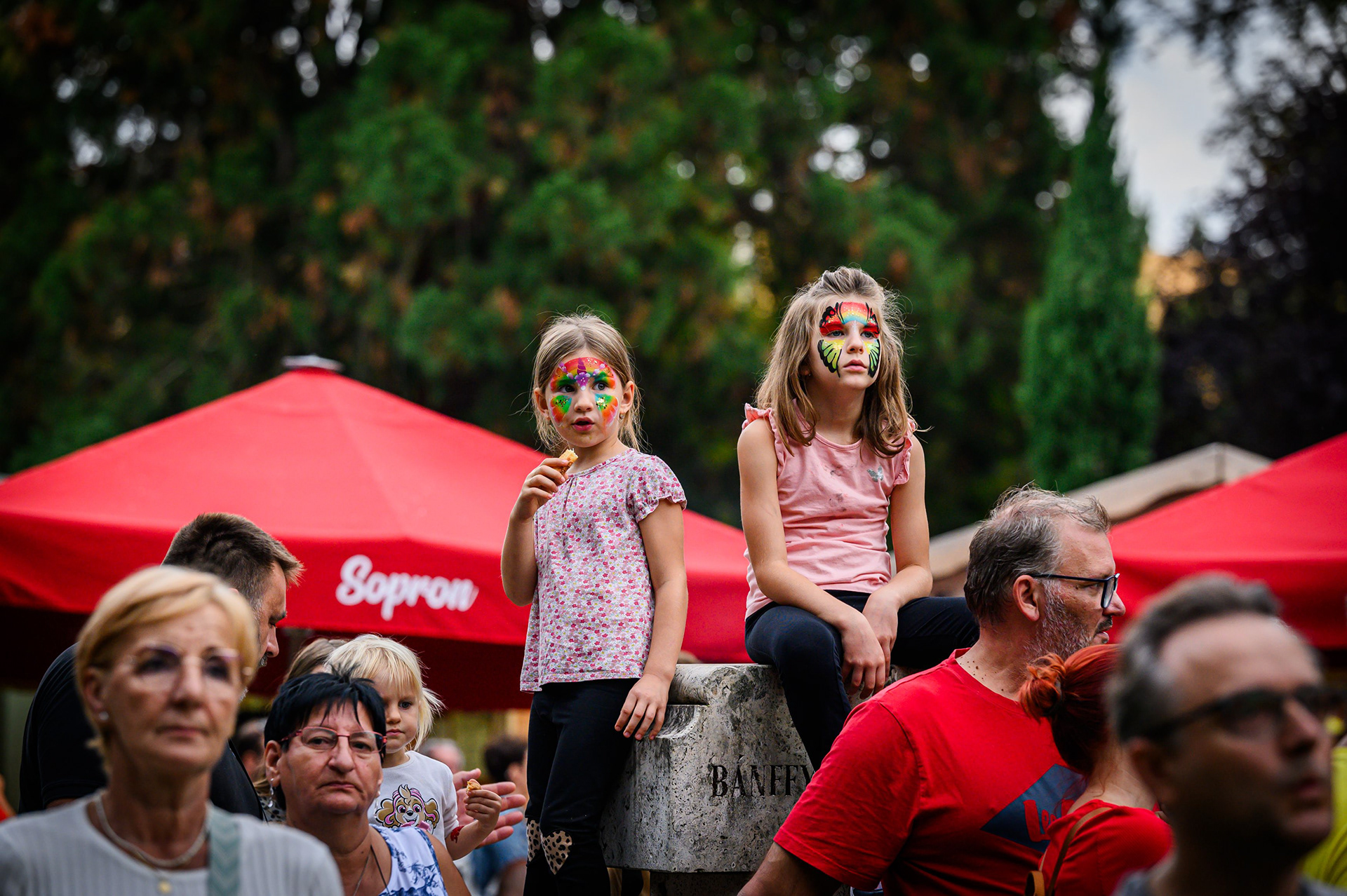 FOTÓ: ROMBAI PÉTER/REPESZTECH