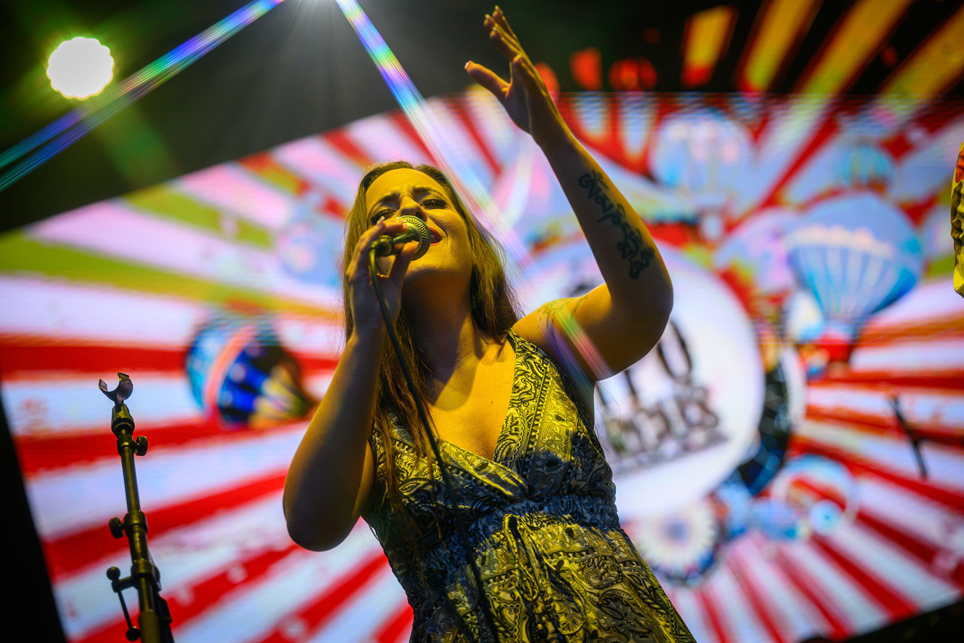 FOTÓ: ROMBAI PÉTER/REPESZTECH