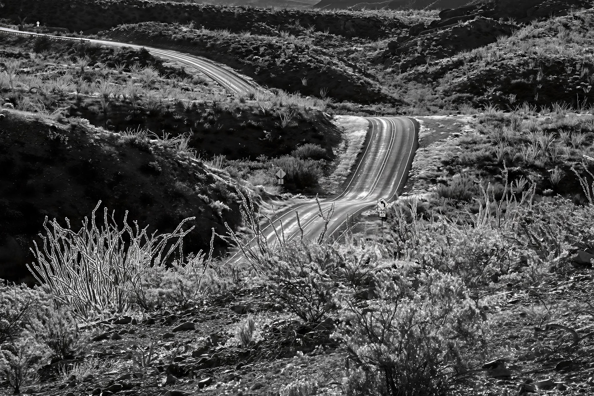 Morning On The Road To Lajitas