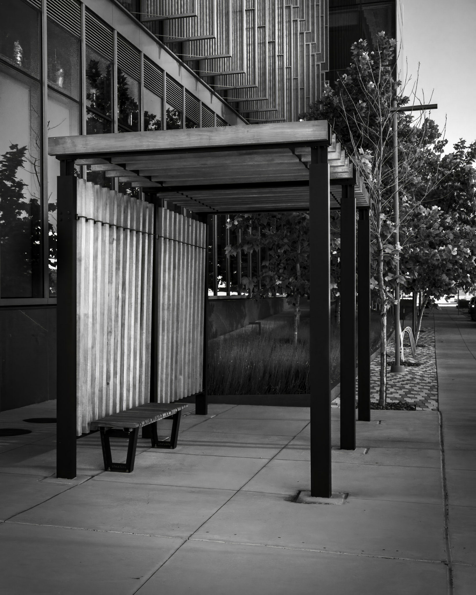 Morning Light On The Shuttle Stop