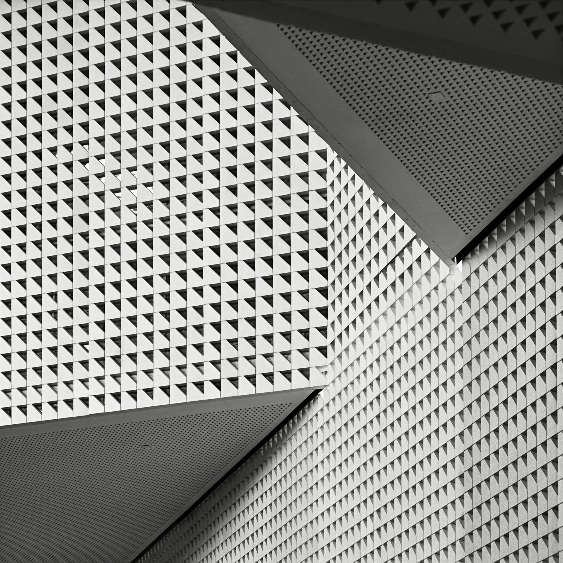 Echoes of Geometry in Light and Shadow