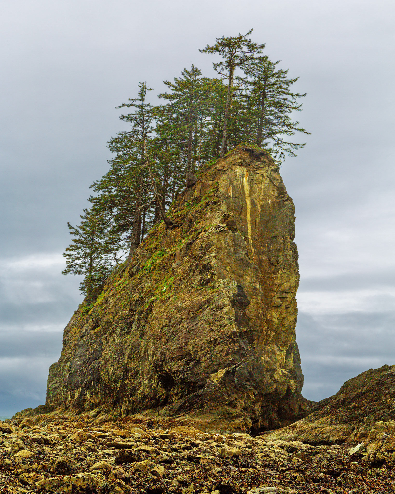 Sea Stack At Low Tide #1