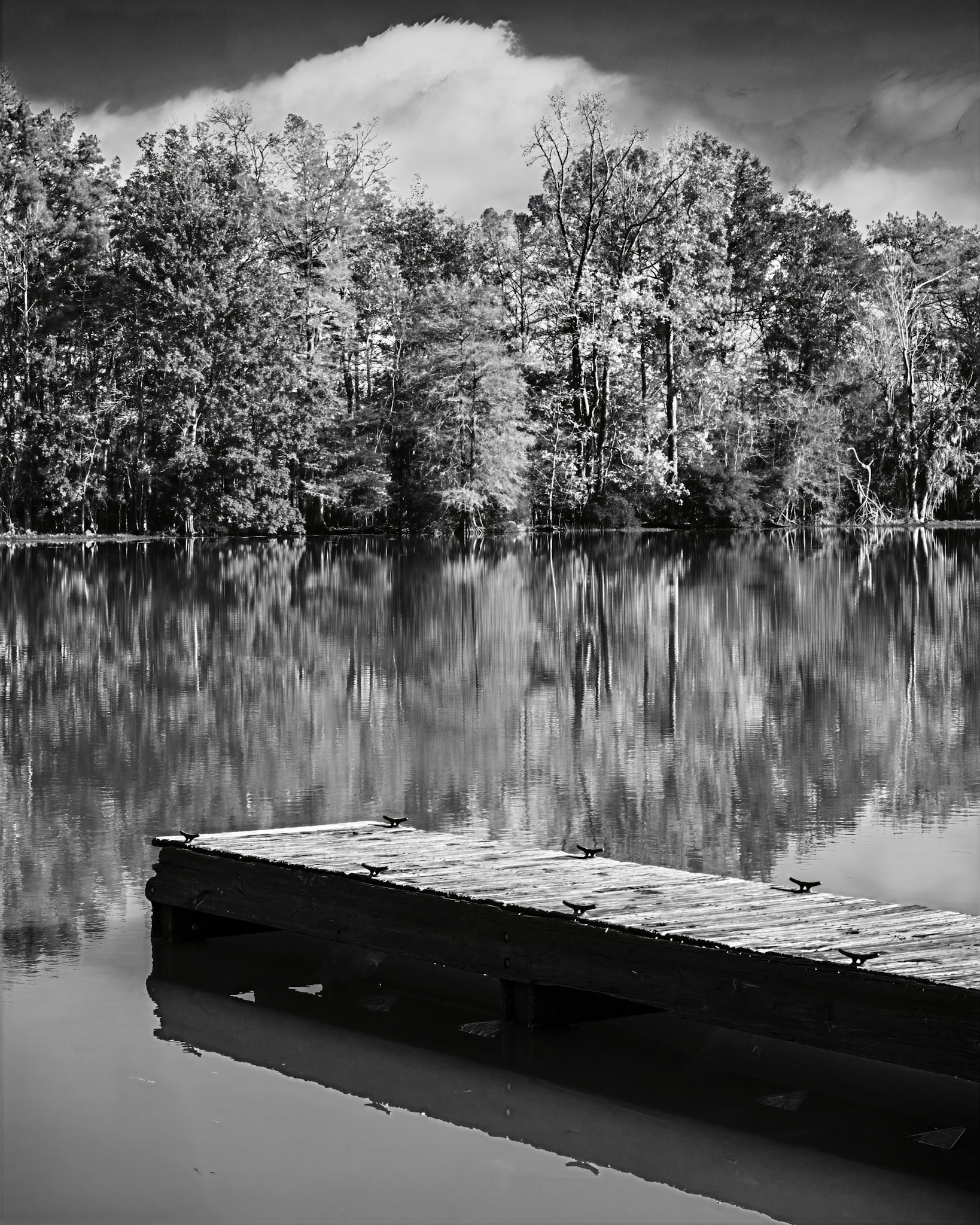 Still Waters, Silent Woods