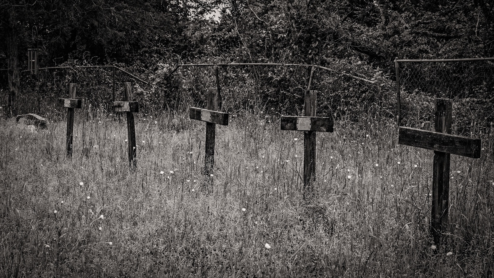 Five Crosses - Hard Times, Hard Life