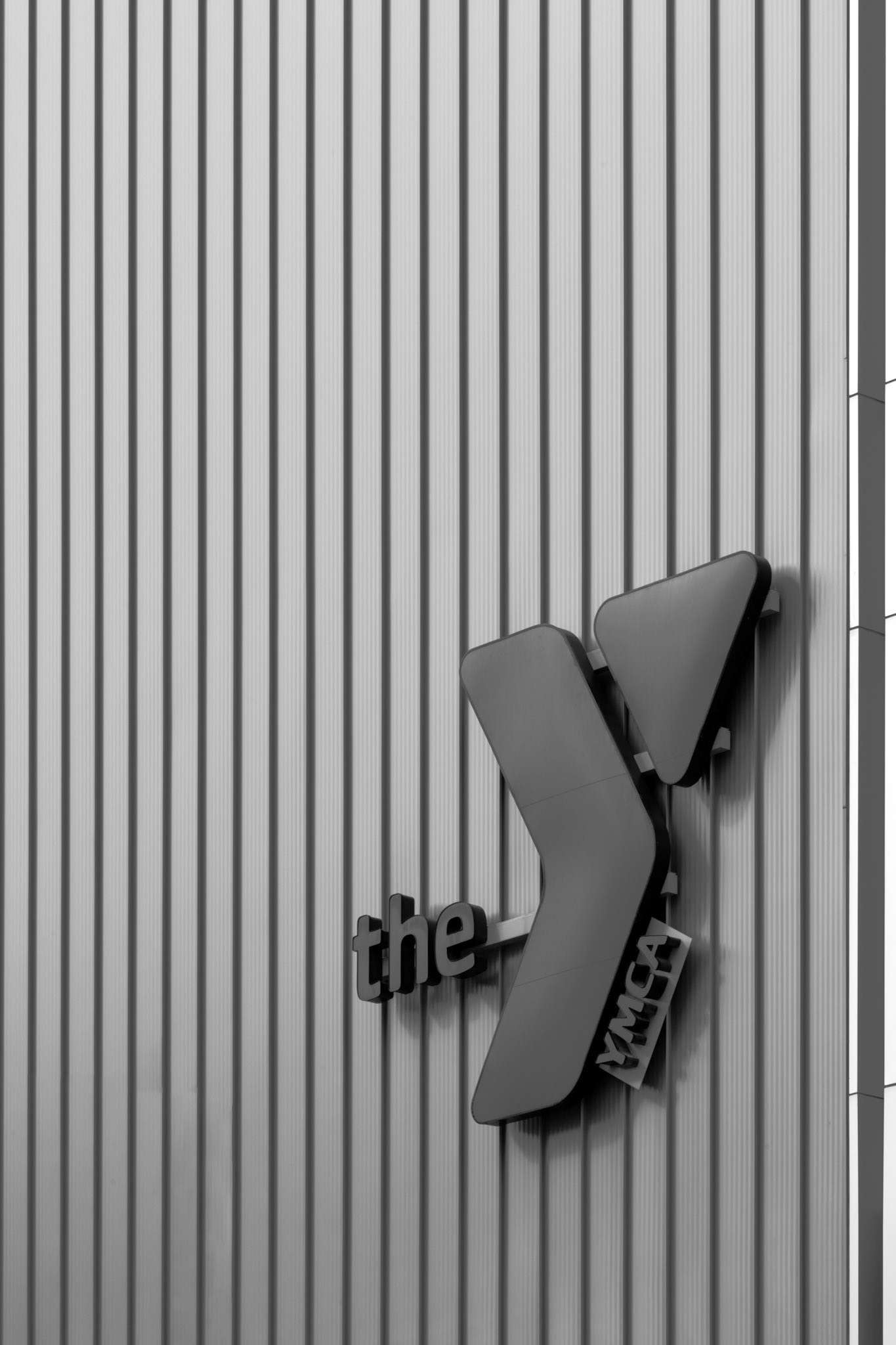 The Y