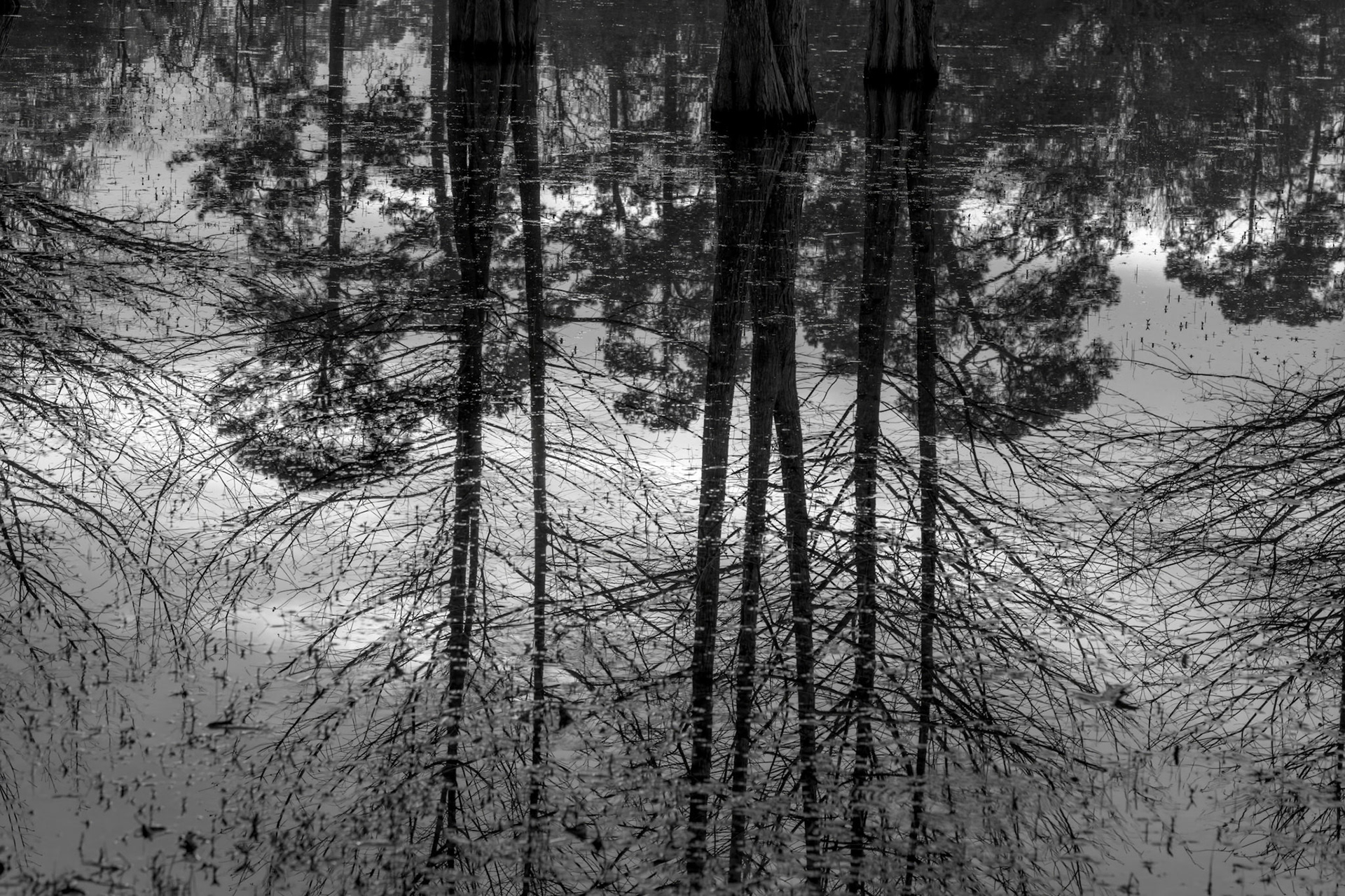 Morning Reflections